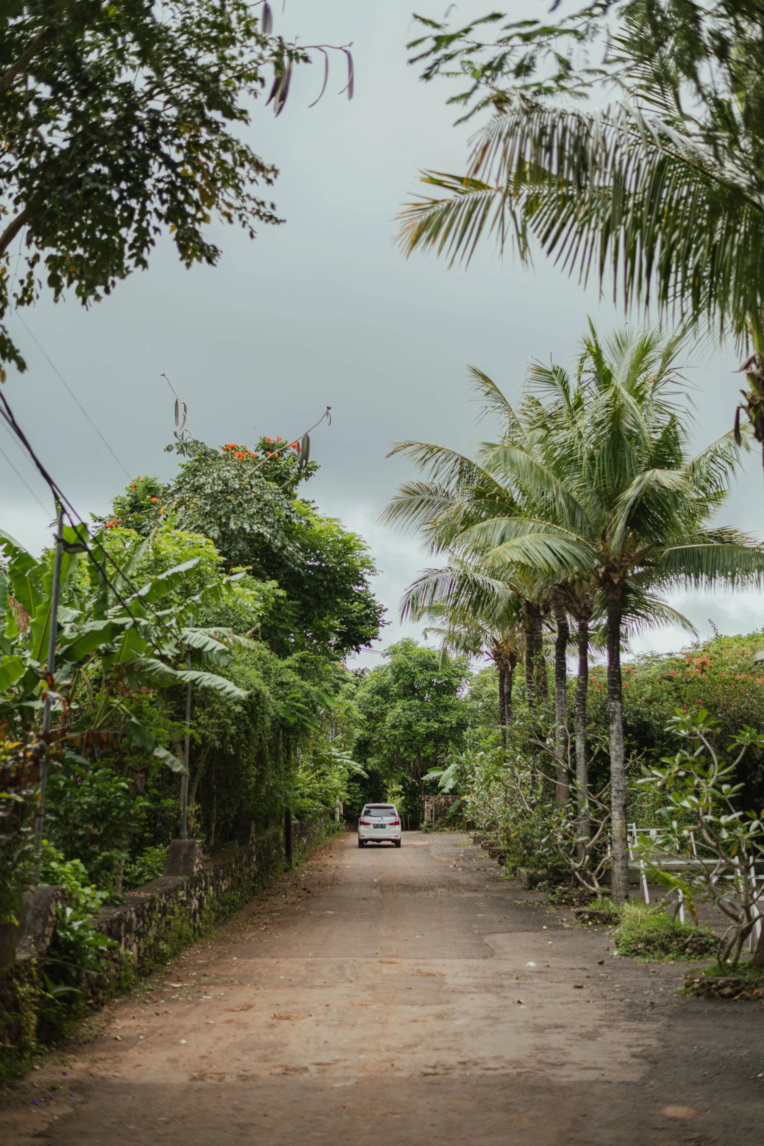 Scenic countryside road surrounded by tropical greenery near Tetebatu