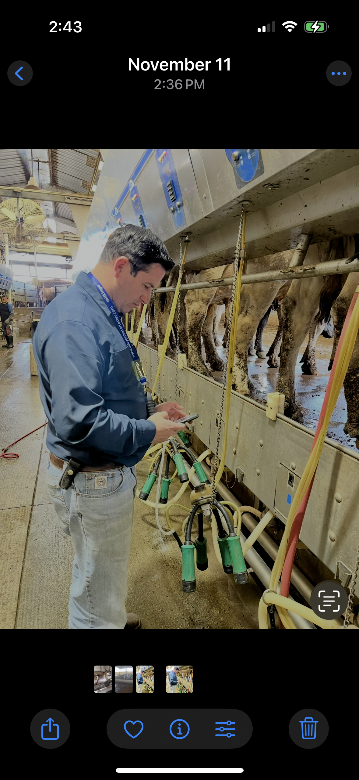 Field calibration of pulsation and vacuum parameters during live milking. Verifying pulsation ratio, timing, and vacuum response to ensure peak system performance and equipment longevity