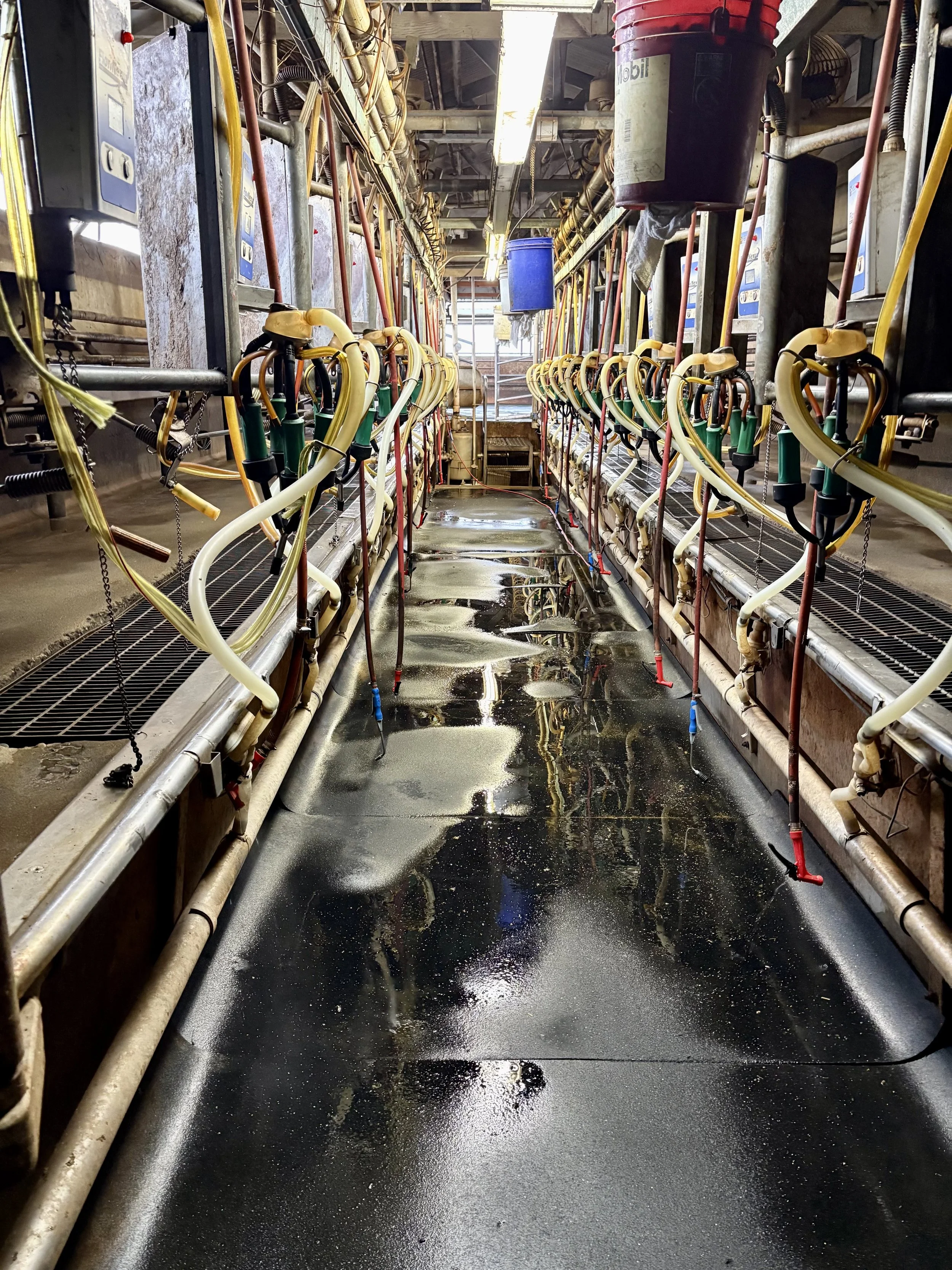 Performed a complete startup of this dairy barn that had been inactive for years, sourcing needed parts, verifying equipment function, and restoring full operation.