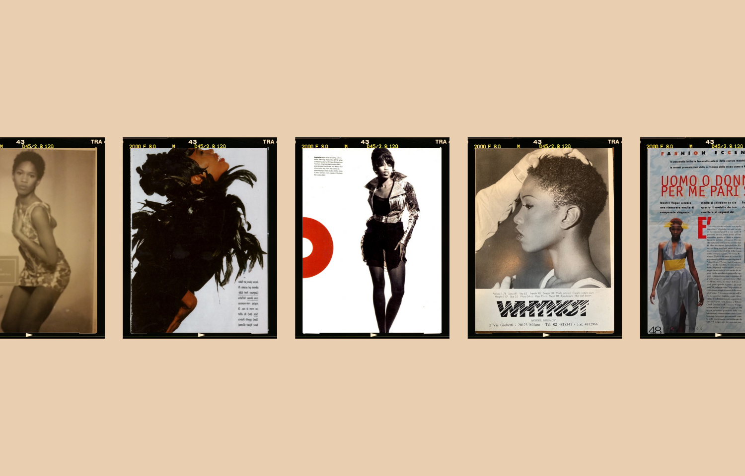 The Secret Life of Grown Ups