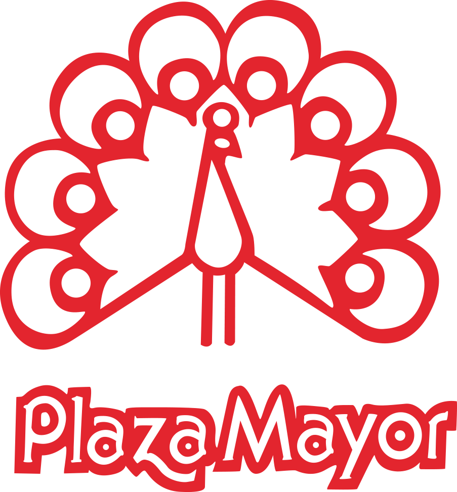 plaza mayor.png