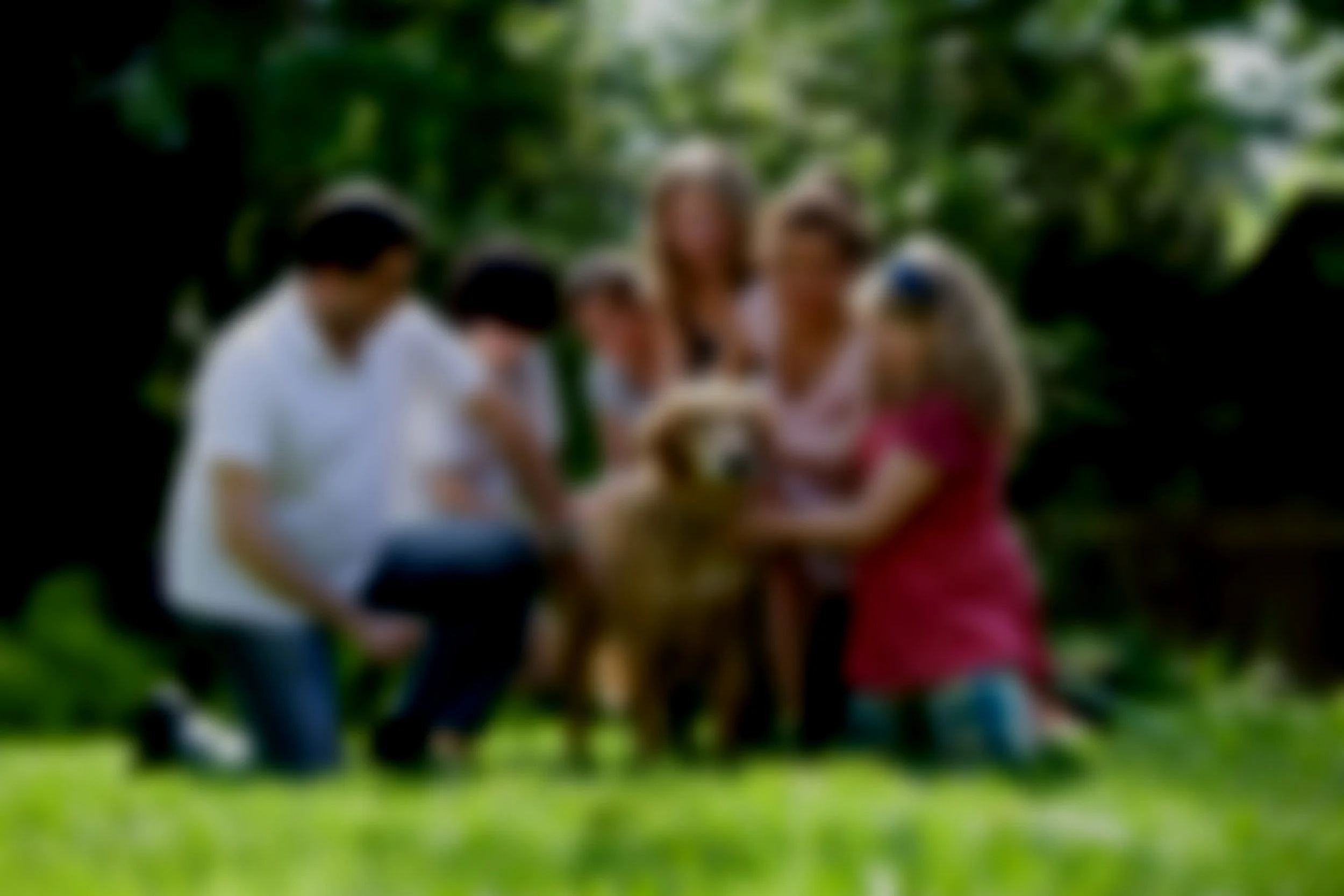 Unlocking Success in Second Marriages: The Vital Role of Premarital Therapy