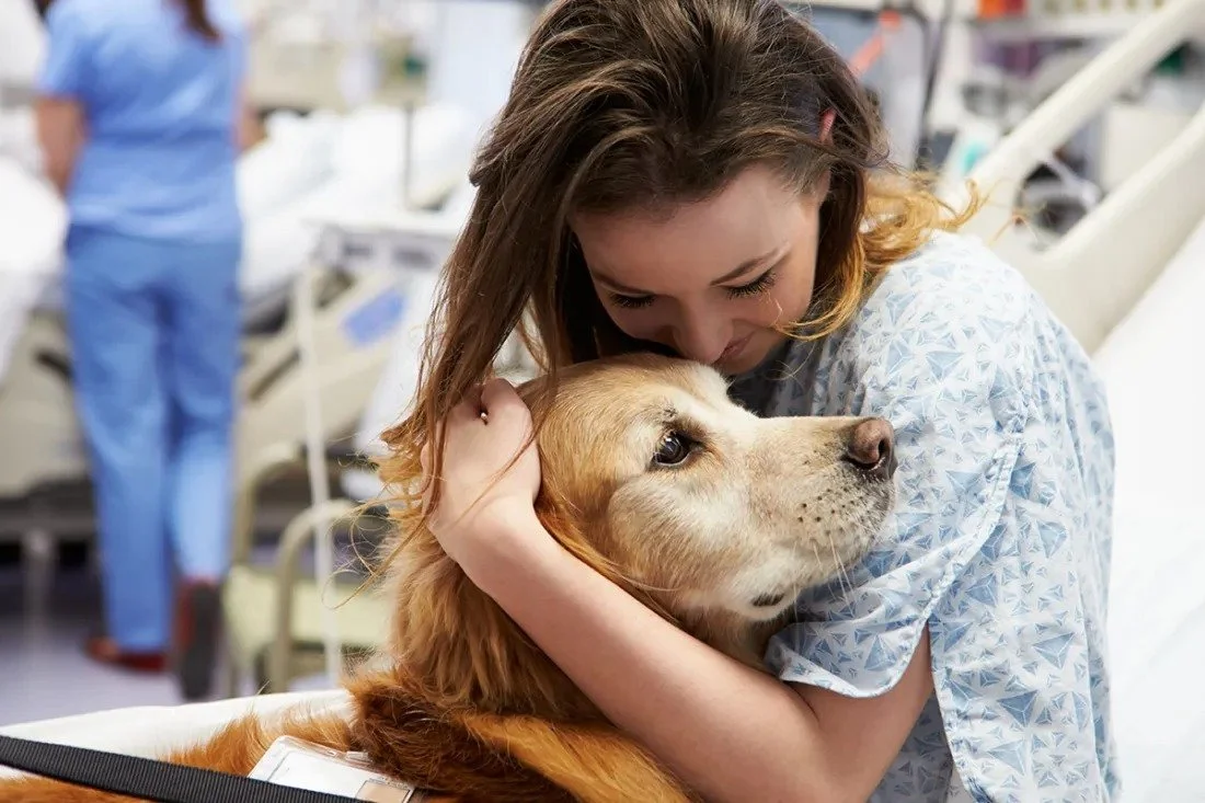 Healing with a Therapy Dog: Connection, Comfort, and Nervous System Regulation