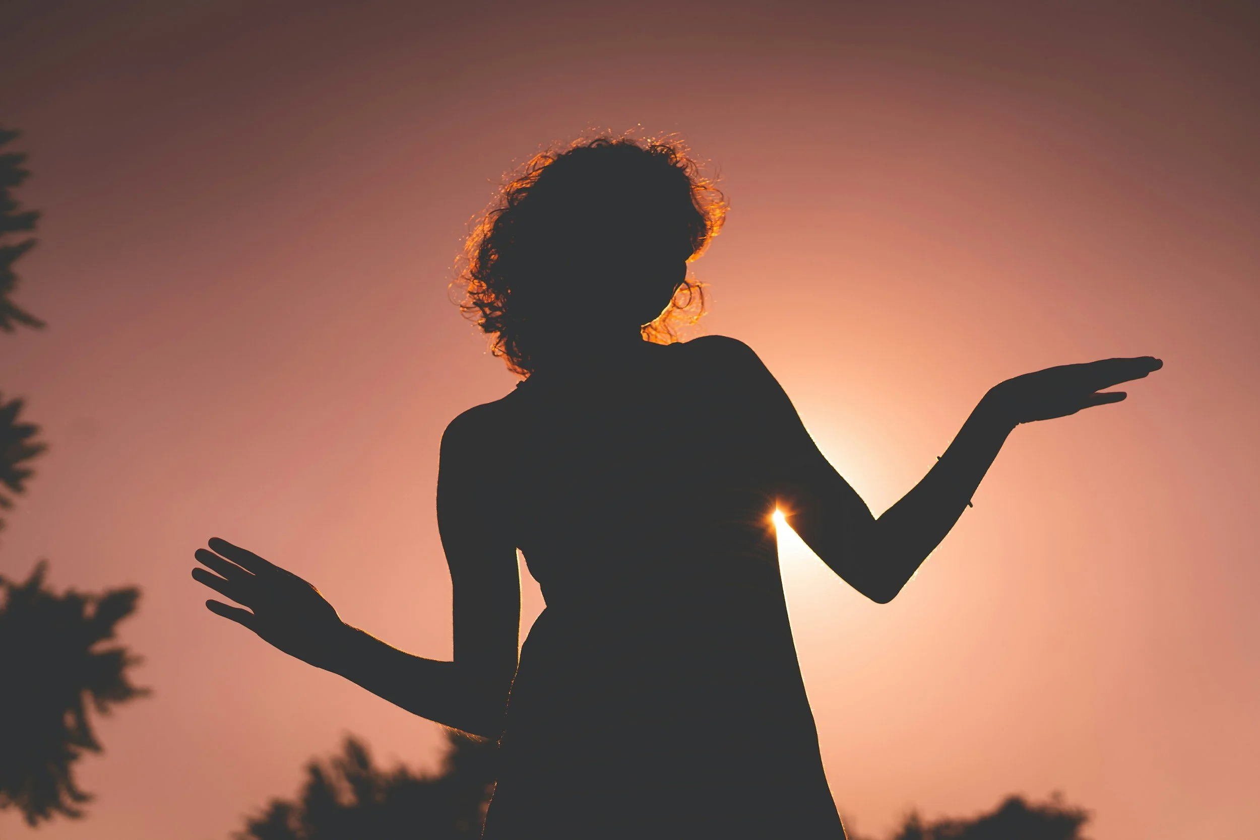 perimenopause and menopause therapy Illinois