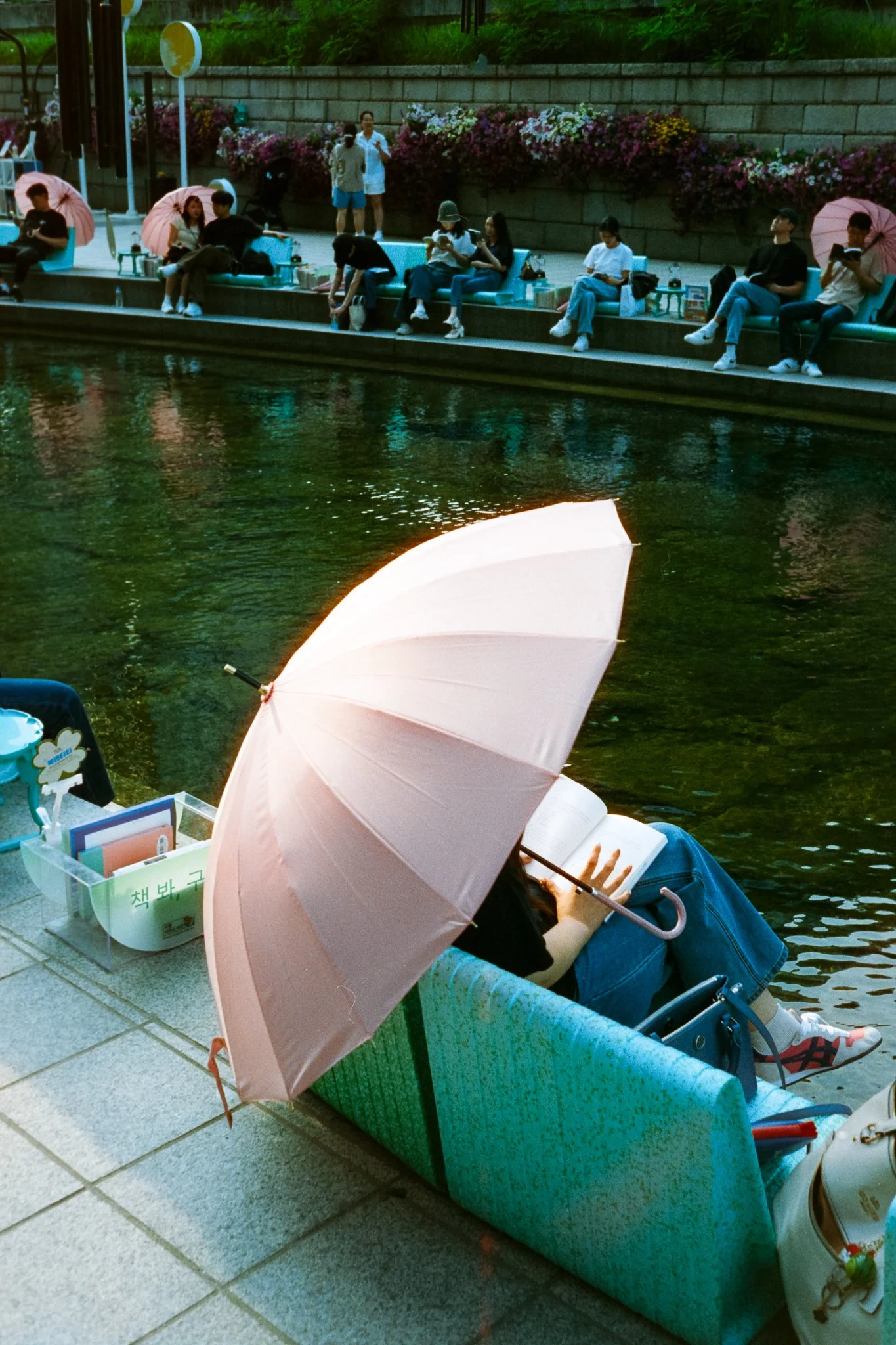 Film Scans - Afga Optima Sensor 1035-240.jpg