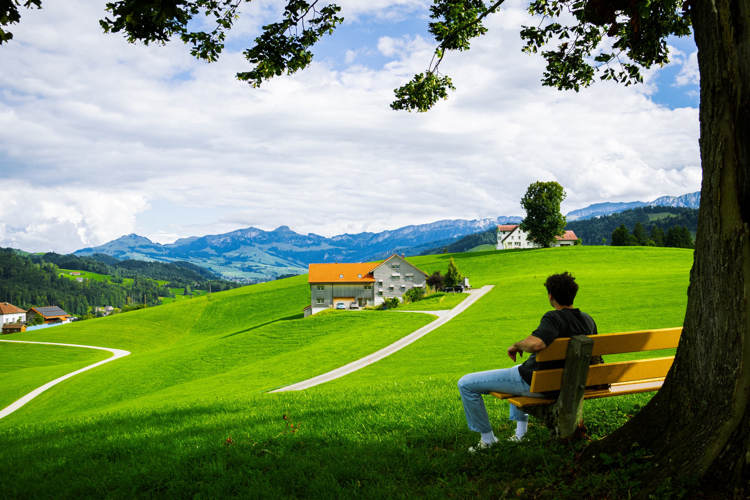 Swiss Bench.jpg