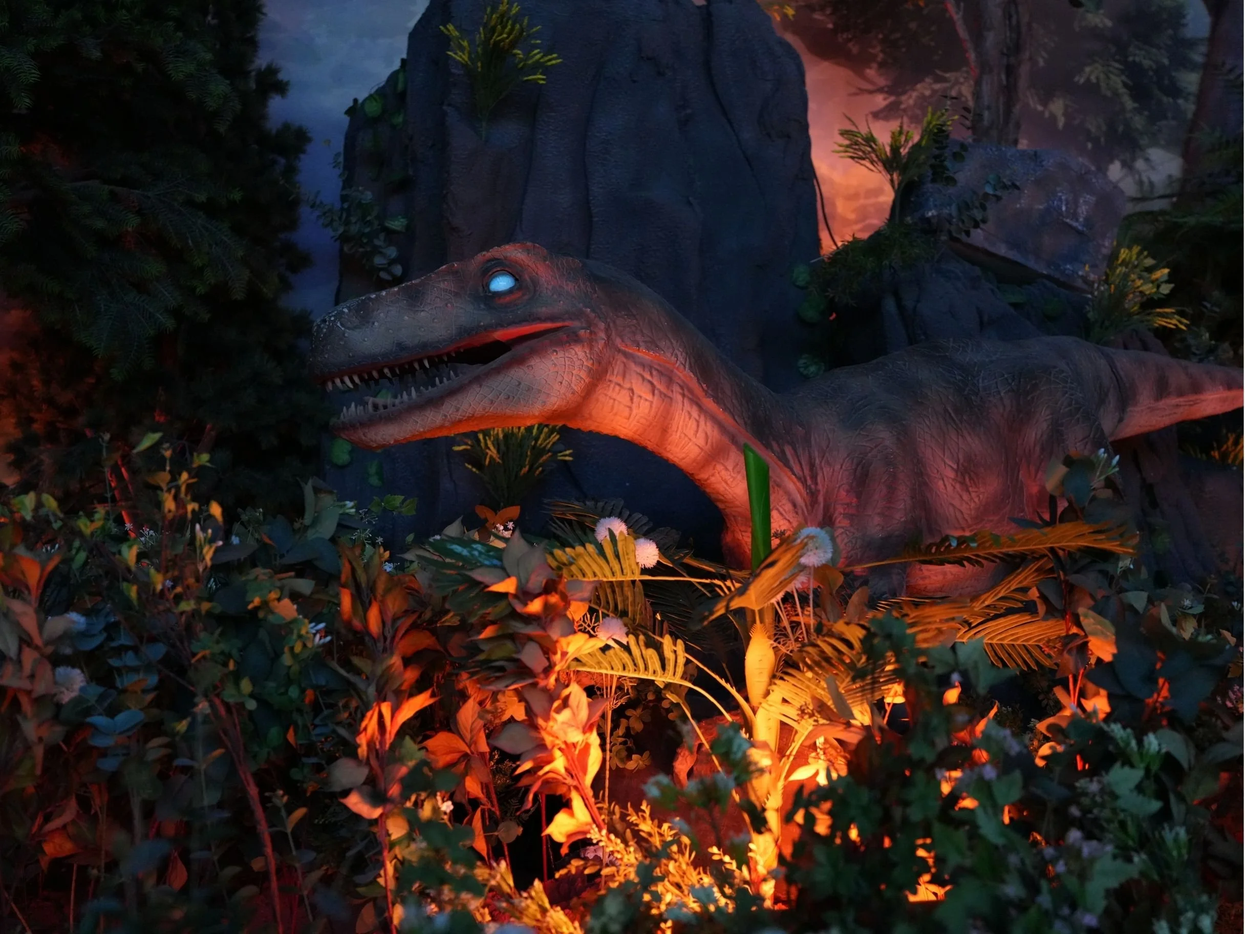 A dinosaur sculpture, resembling a T-Rex, illuminated with orange lighting and surrounded by greenery and decorative plants at night.