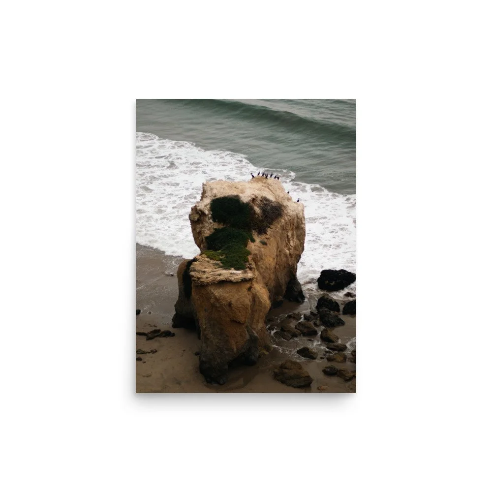 premium-luster-photo-paper-poster-(in)-12x16-front-67e451377b3e0.jpg