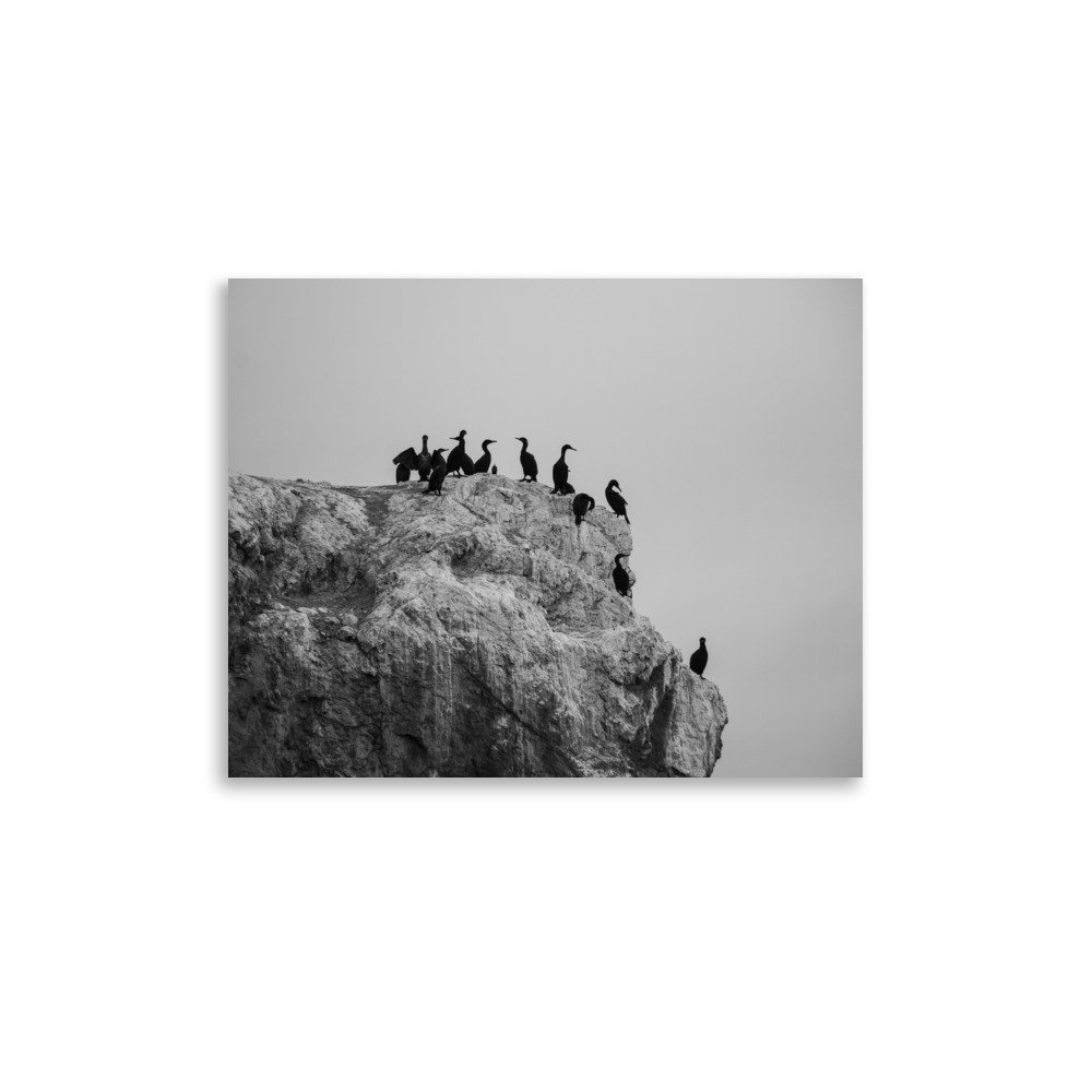 premium-luster-photo-paper-poster-(in)-11x14-front-67e451a216b51.jpg