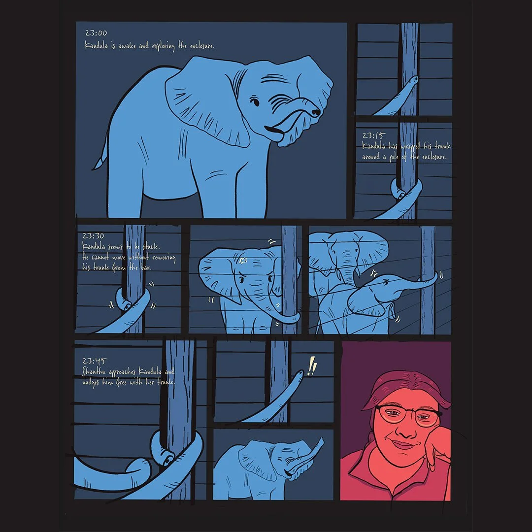 Comic_LetterSize_final-02.jpg