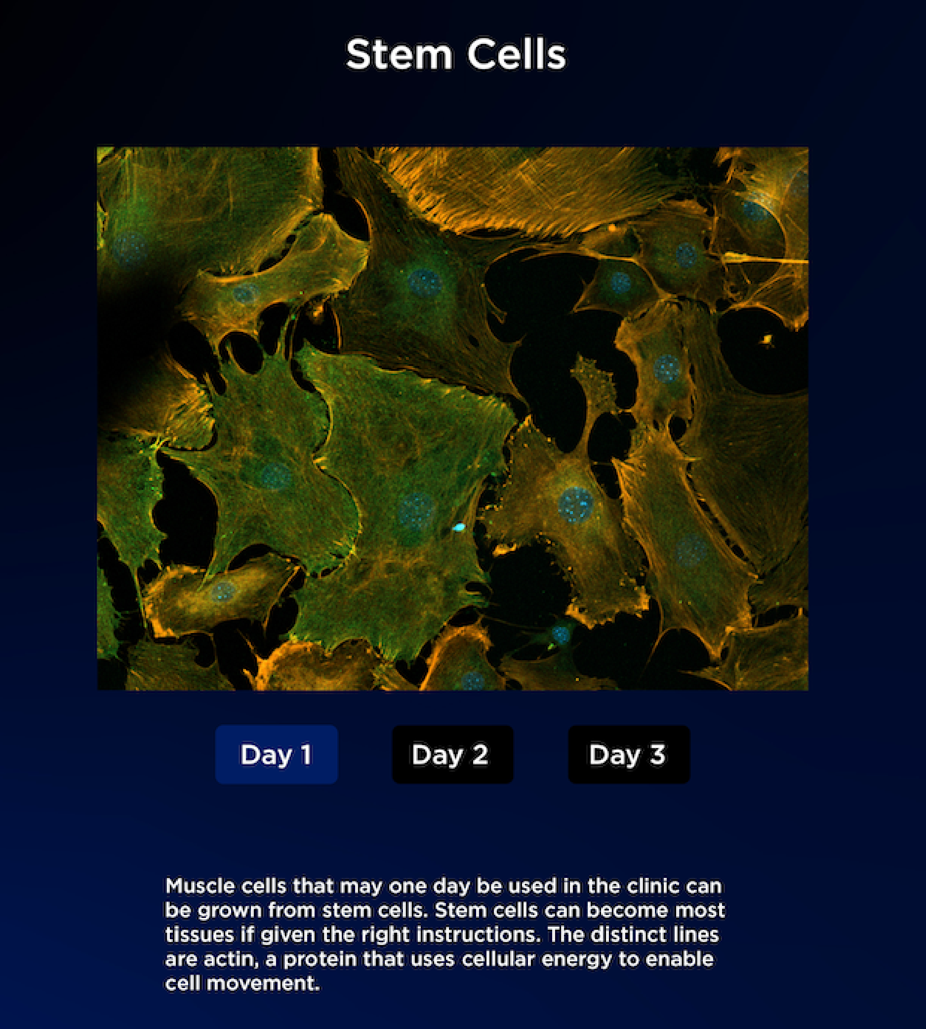 Miller_Website_Carasouls_SPARC-11.png