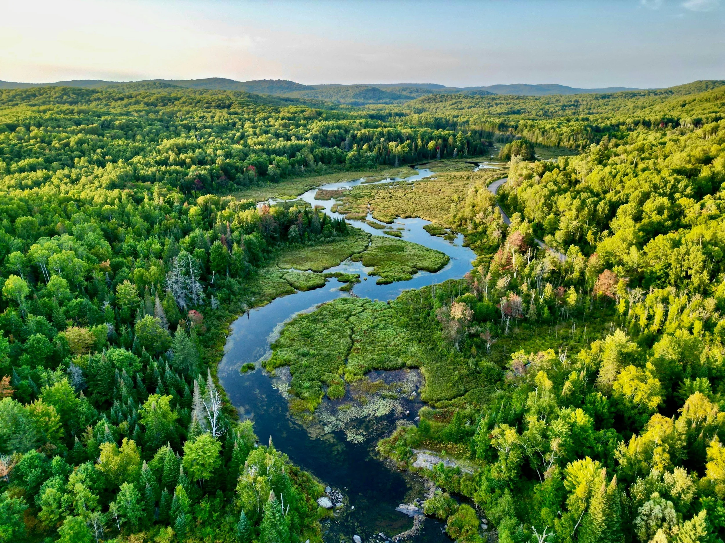 Aerial view of a winding river flowing through a lush green forest with rolling hills in the distance.