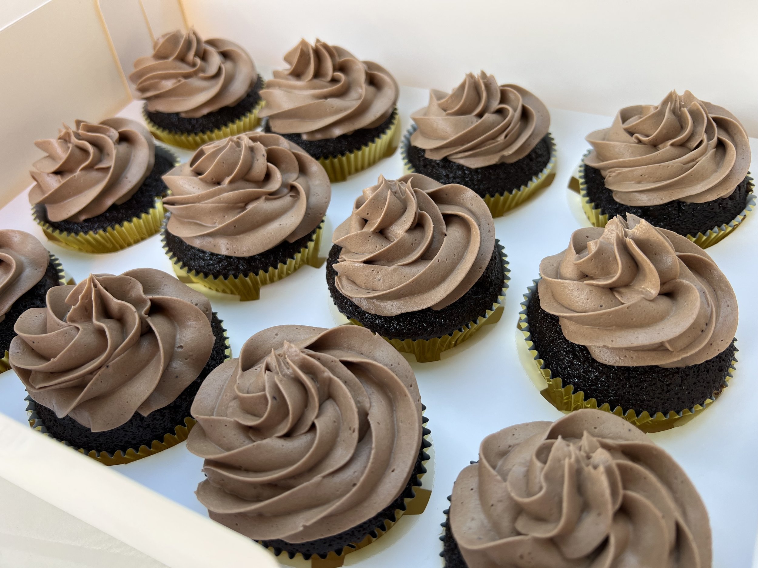 Chocolate Cupcakes