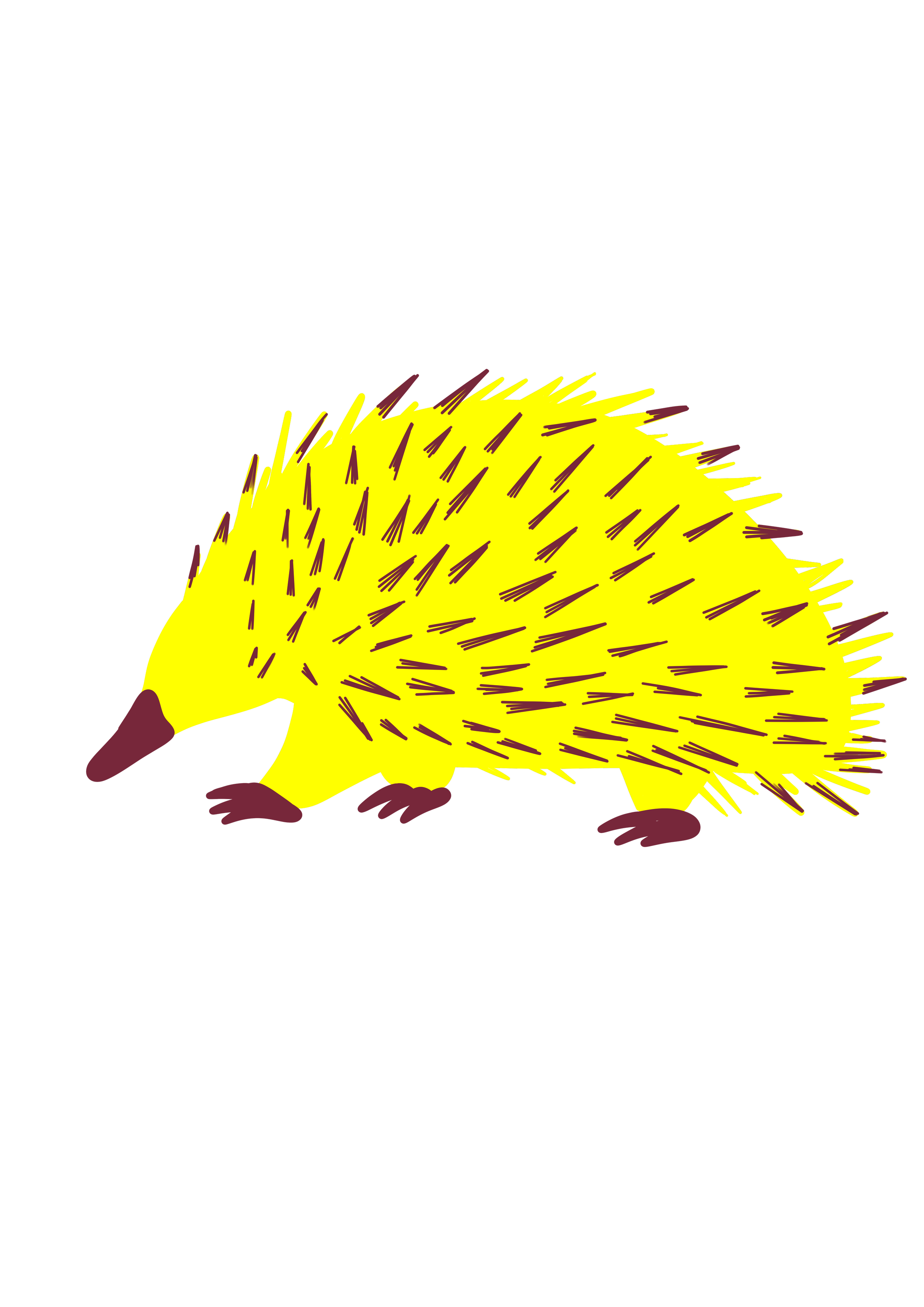 echidna .png
