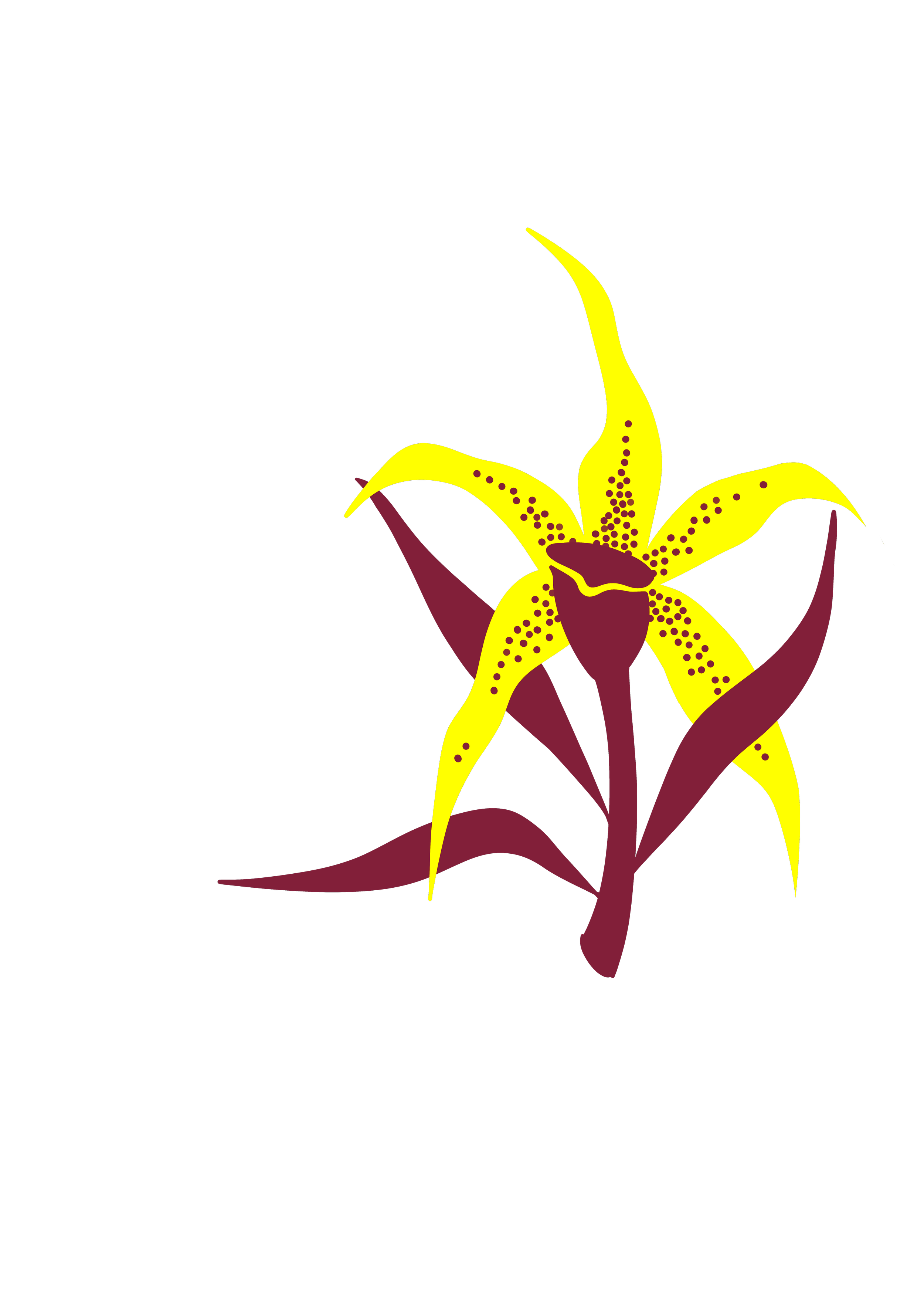 orchid 2.png