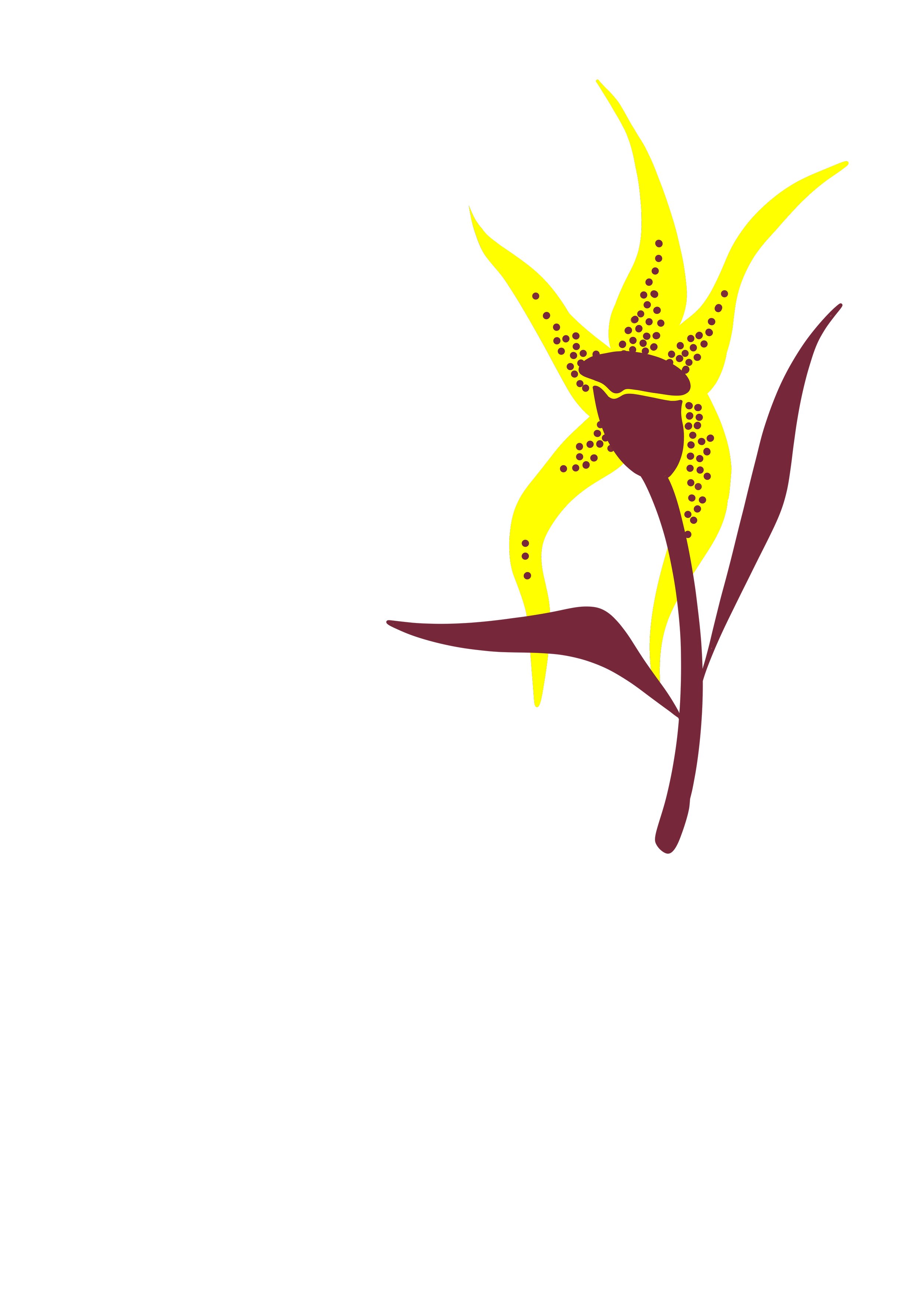 orchid 1.png