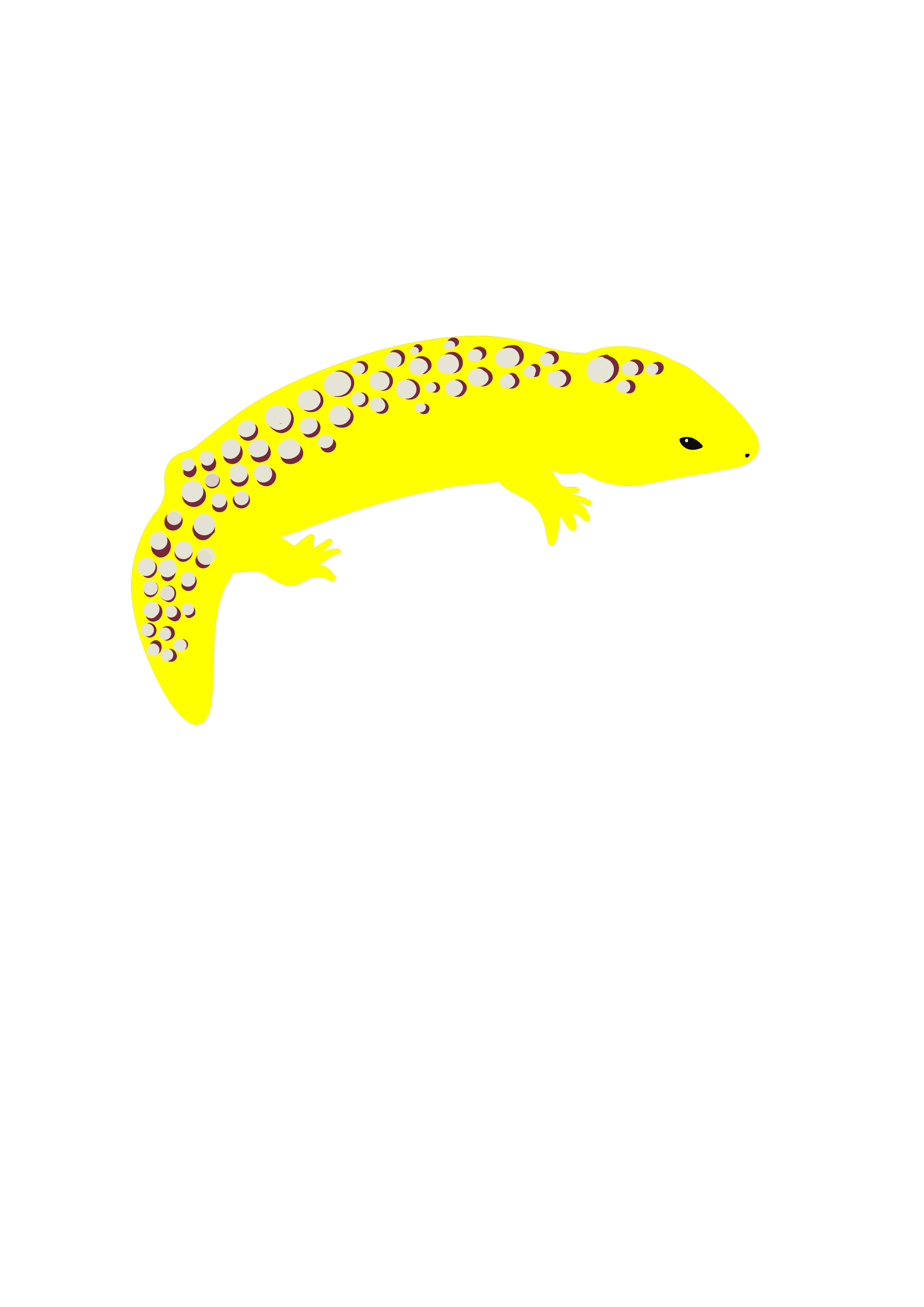 lizard variation 2.png