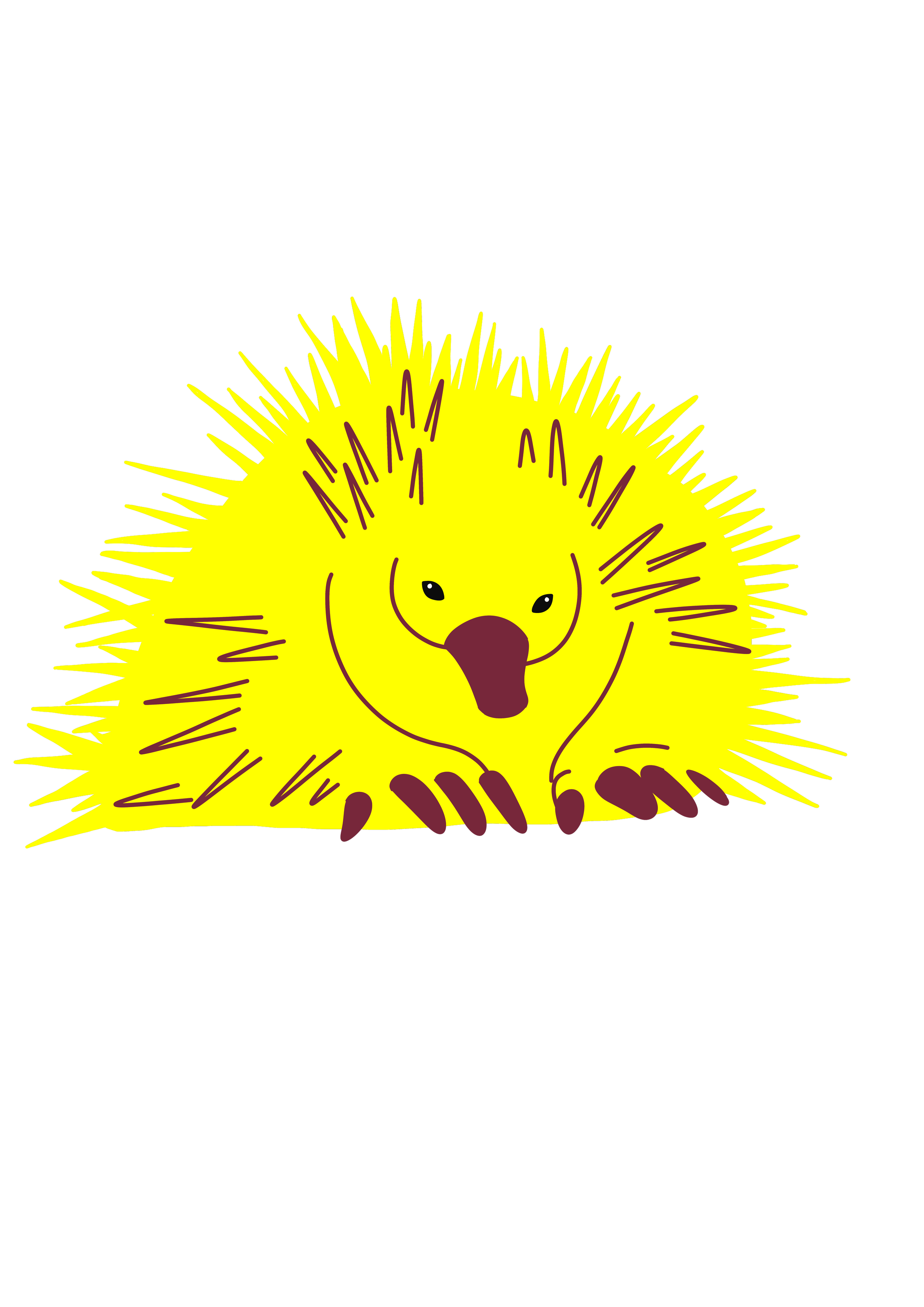 echidna no background 2.png
