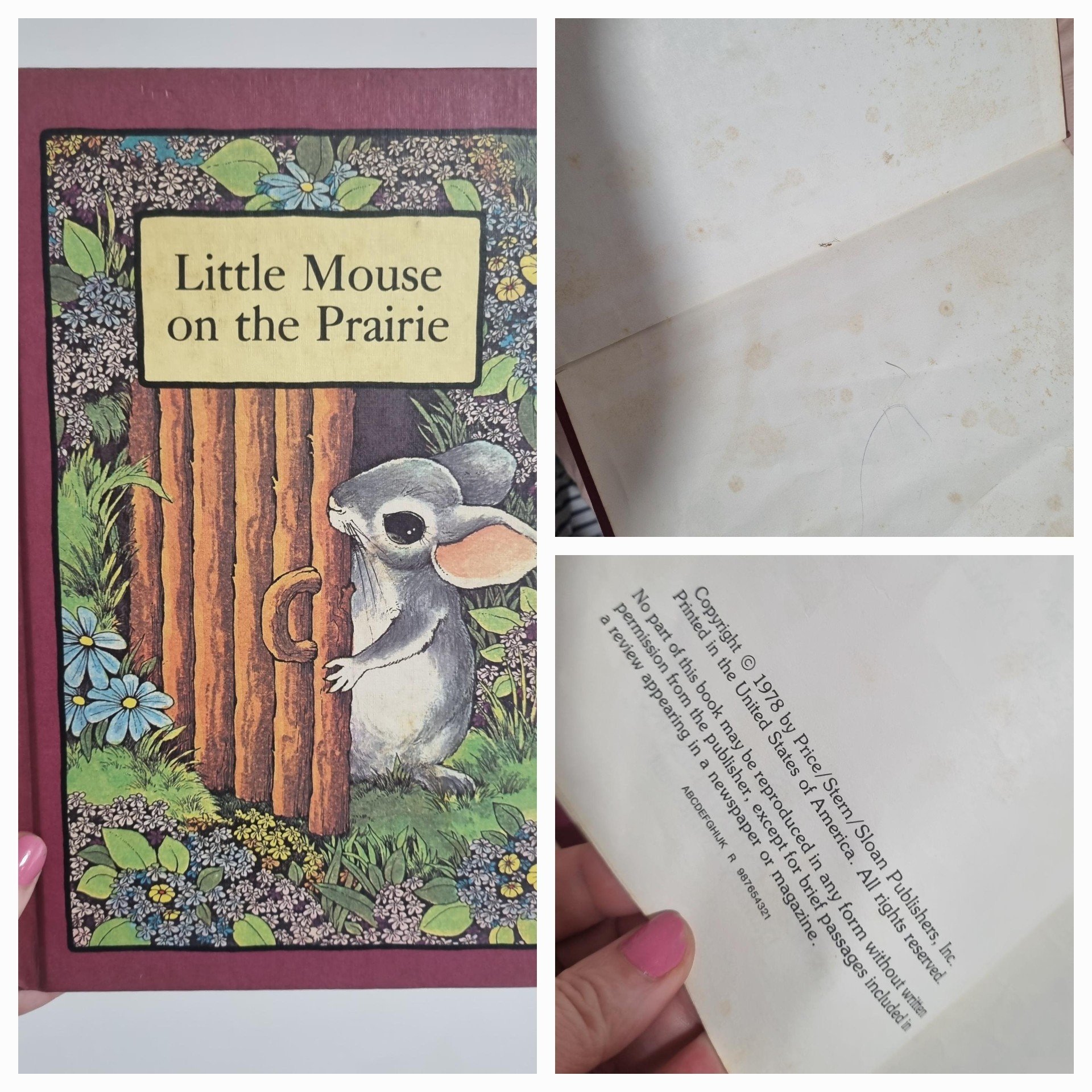mouse praire.jpg