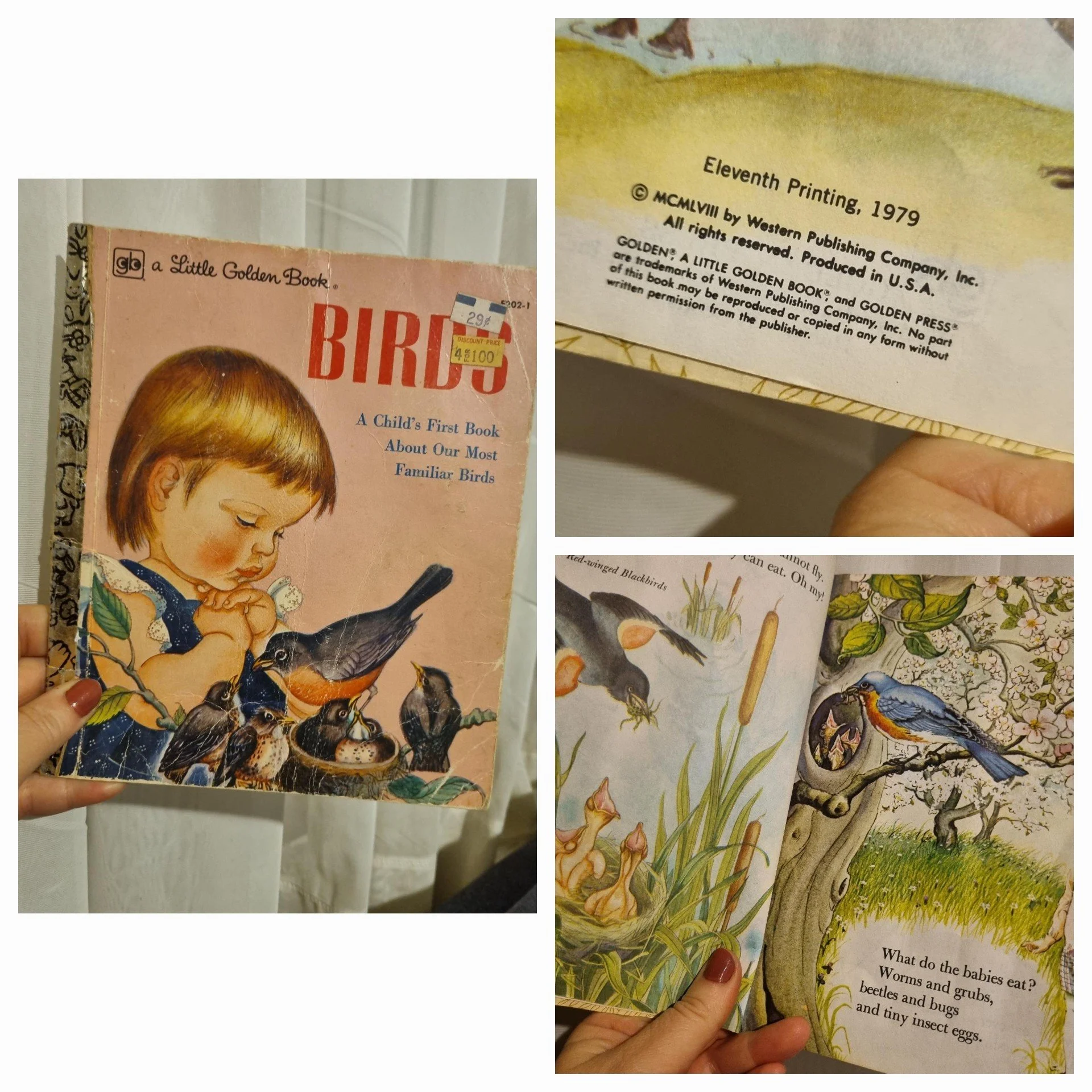 Birds - A Little Golden Book - 1979