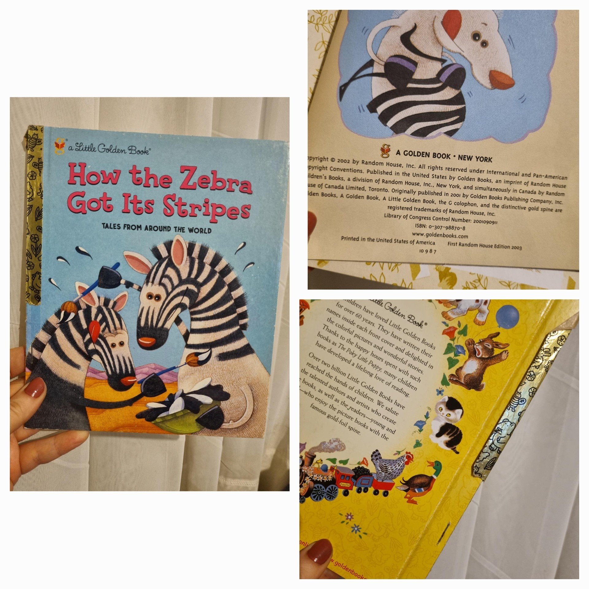 how the zebra got.jpg