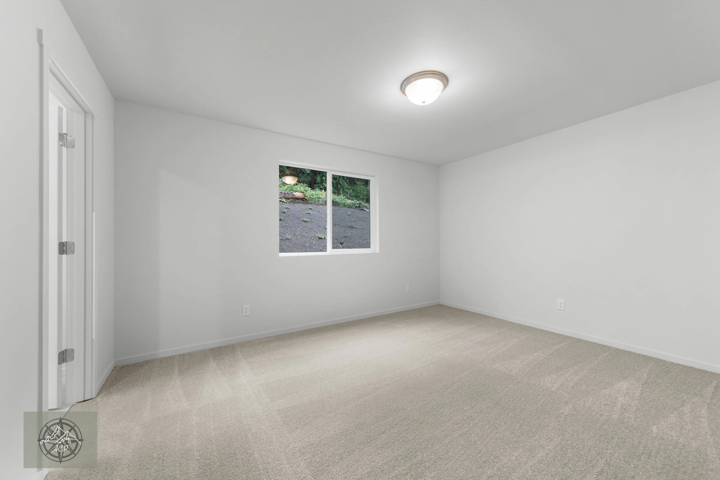 Empty room with white walls, beige carpet, window showing outdoor greenery and ground, ceiling light fixture.