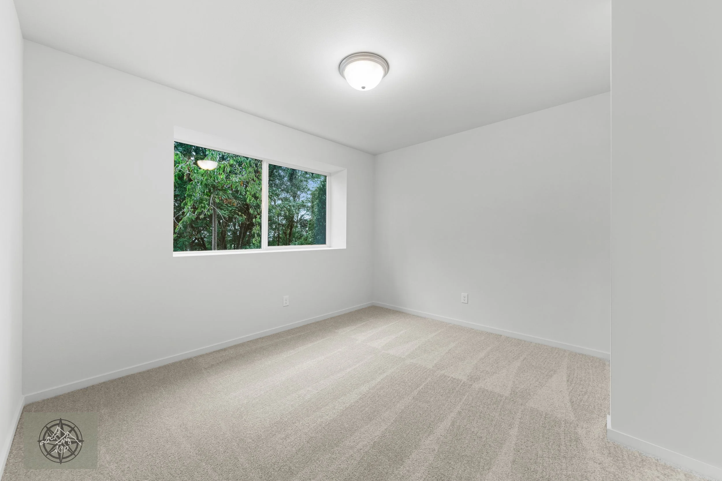Empty room with white walls, beige carpet, a window showing trees outside, and a ceiling light fixture.