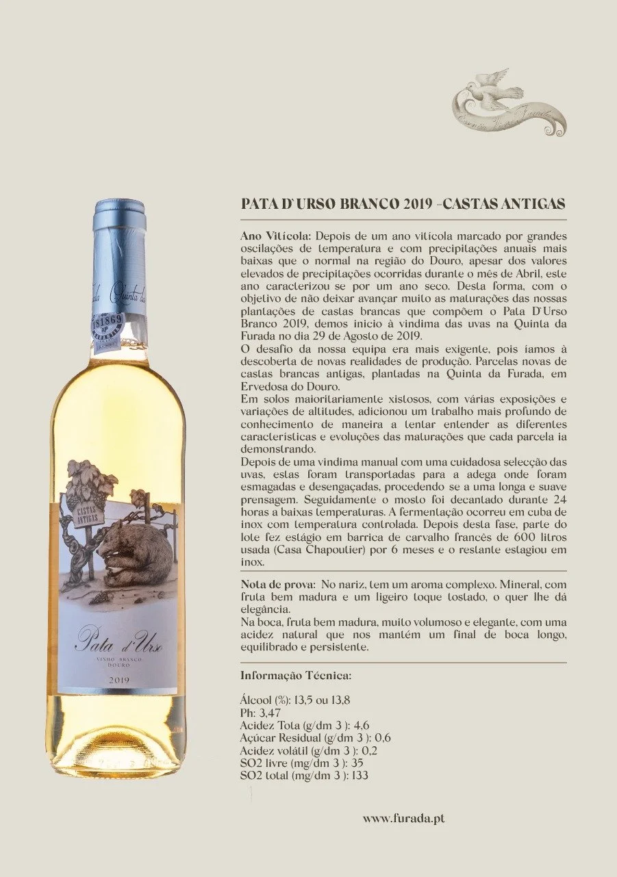 WhatsApp Image 2025-11-05 at 09.47.24.jpeg