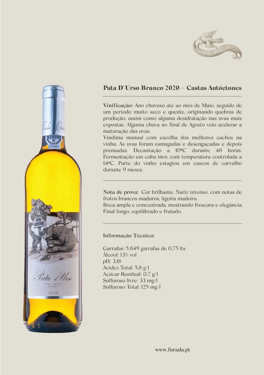 WhatsApp Image 2025-11-05 at 09.47.23.jpeg