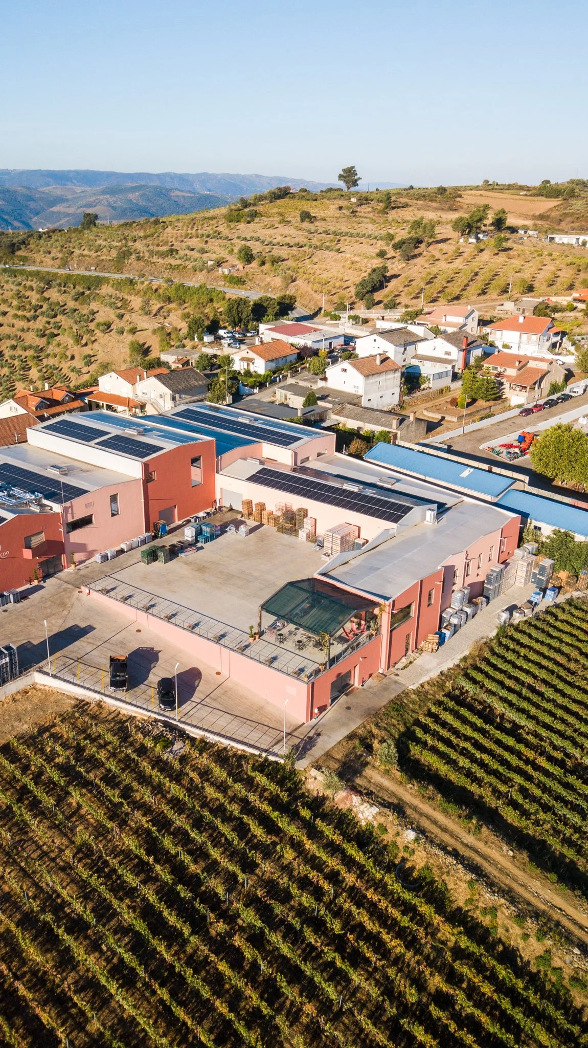 DJI_0101.jpg