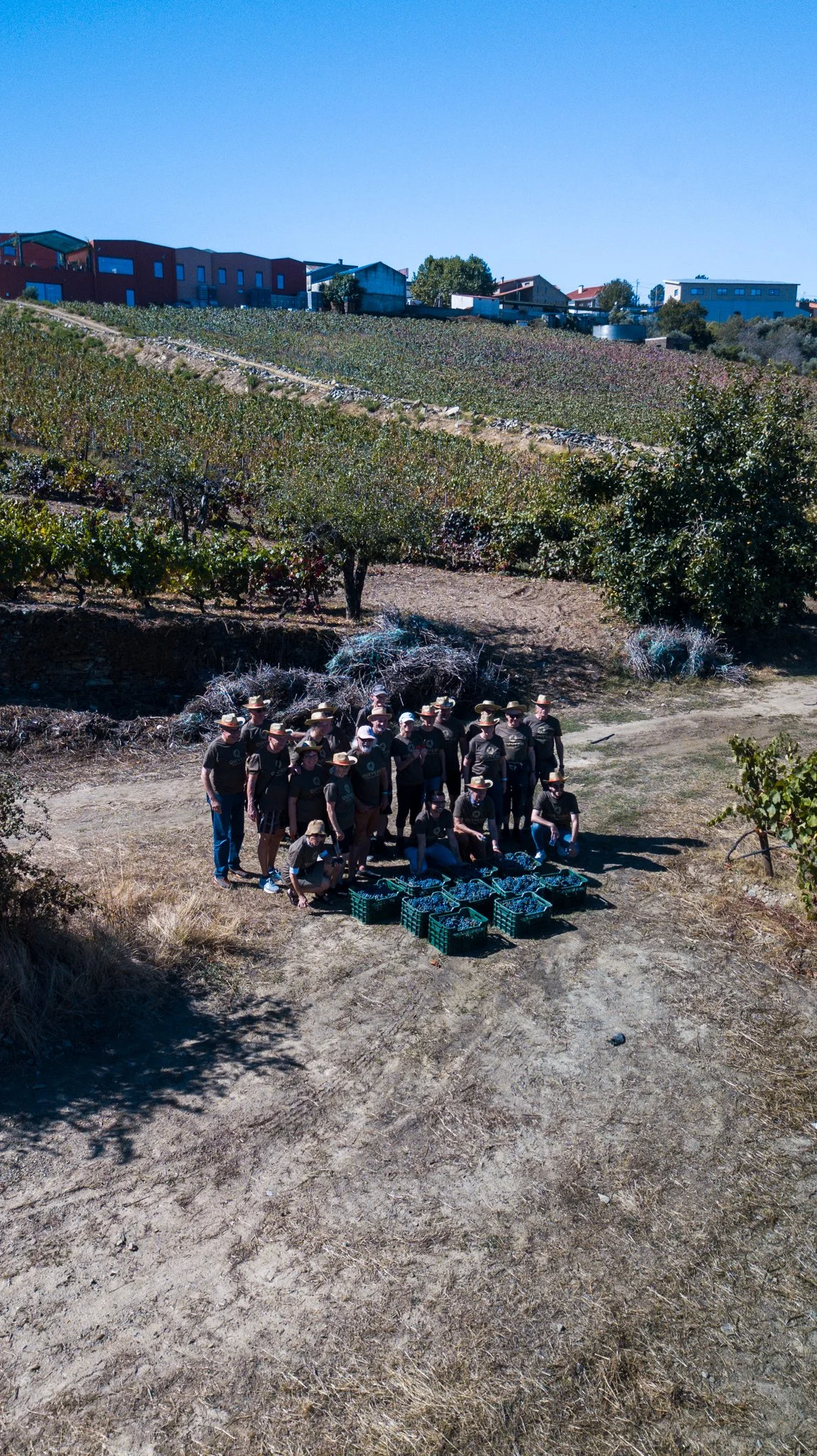 DJI_0124.jpg