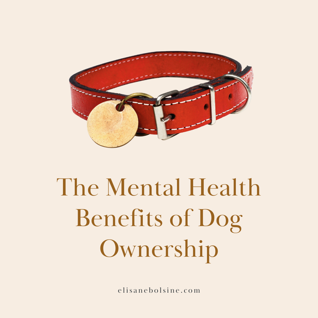 The Mental Health Benefits of Dog Ownership