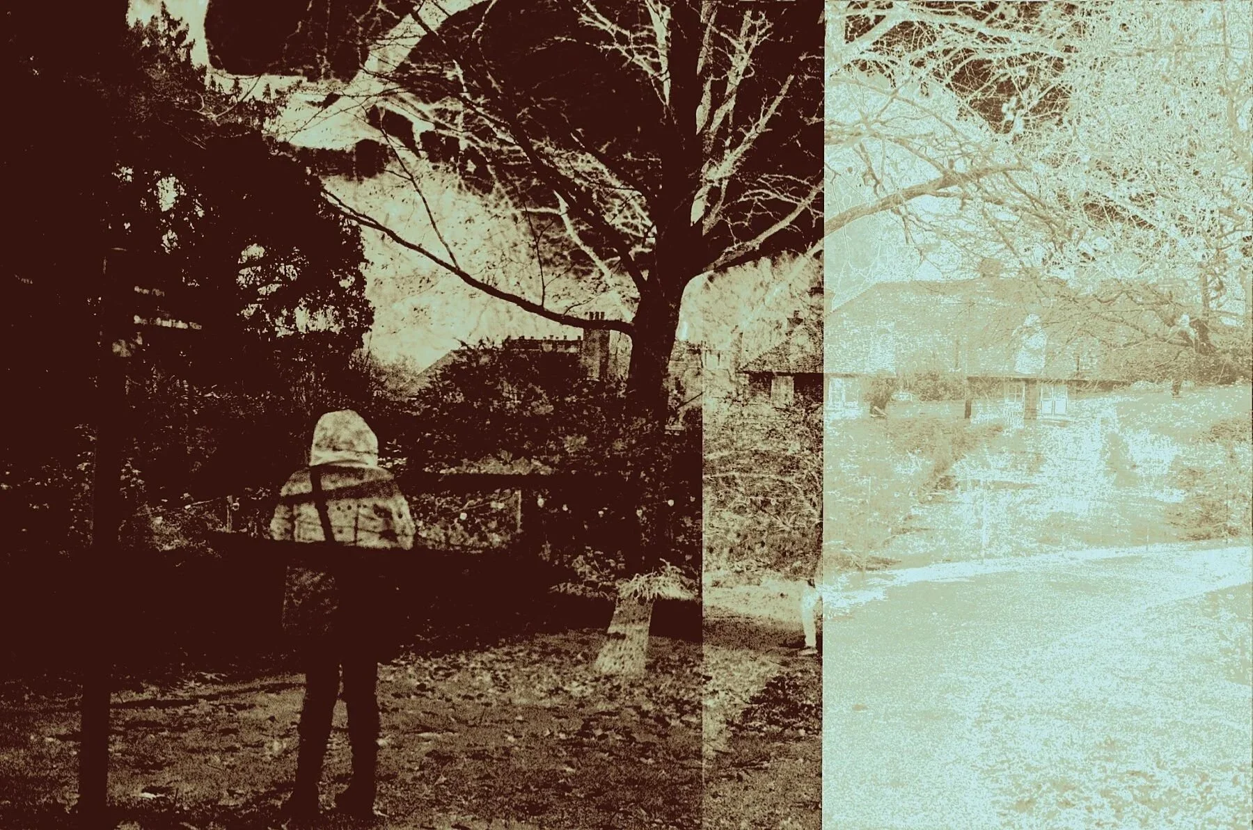 Nighttime woodland near Petworth, 2026. Limited edition digital print, New Futurism, contemporary art critique.