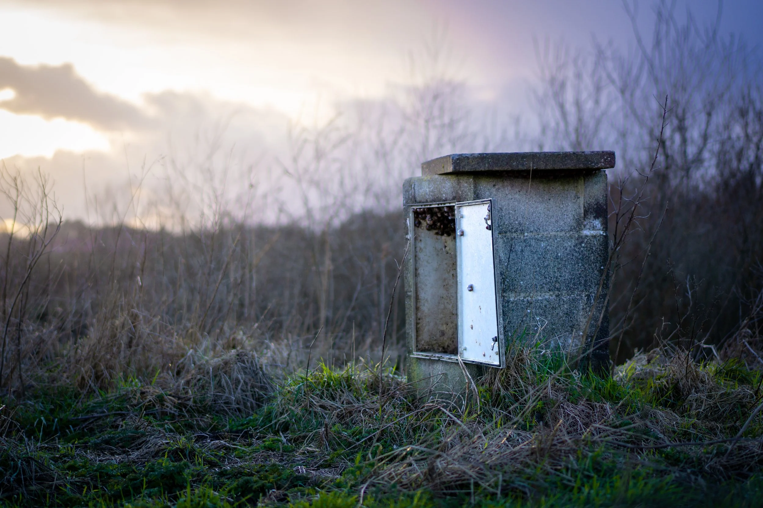 Snail cupboard. Aldborough, North Yorkshire.