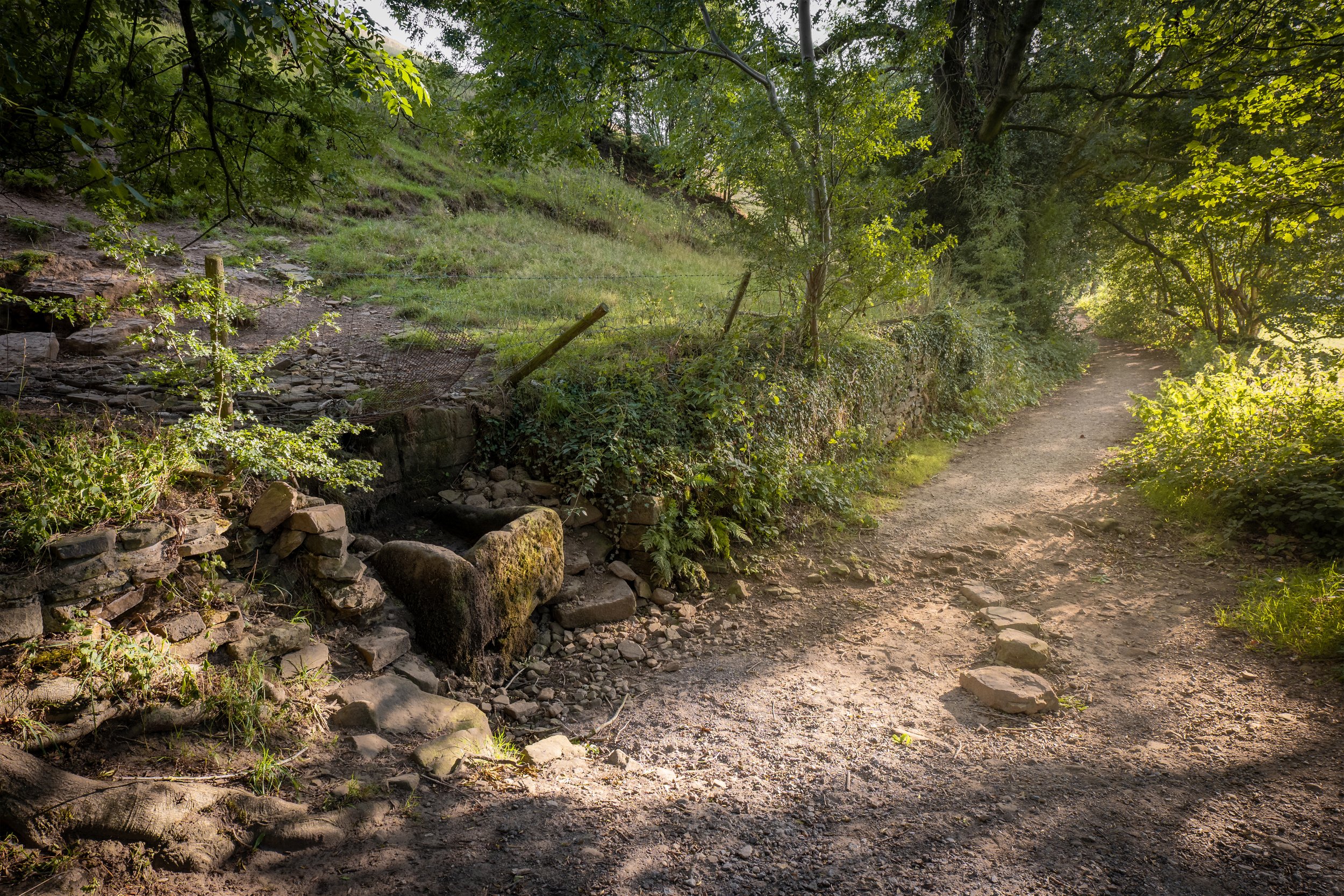 Boggard Lane Trough, Oughtibridge, South Yorkshire.