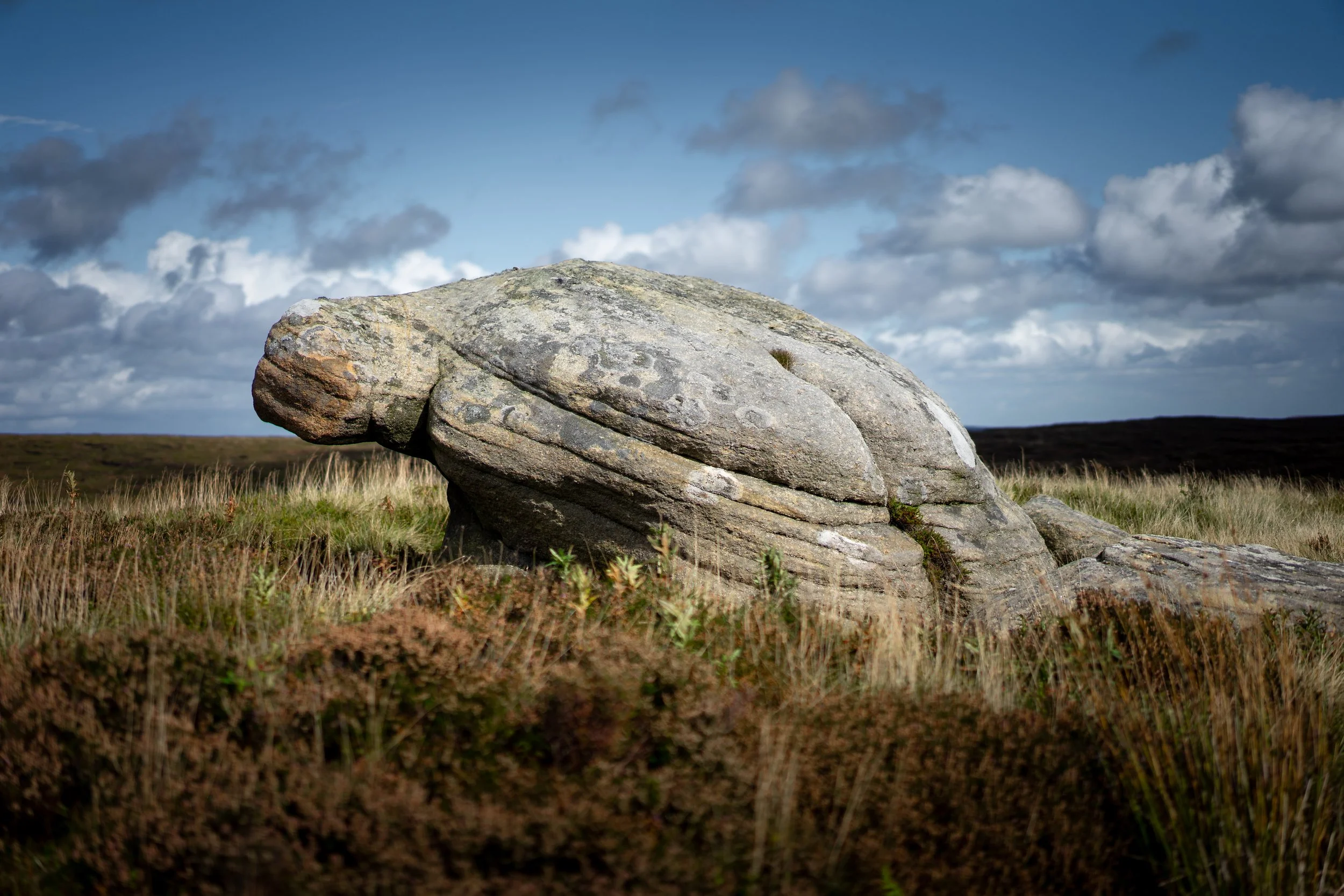 Tortoise rock. Grindslow Knoll, Derbyshire.
