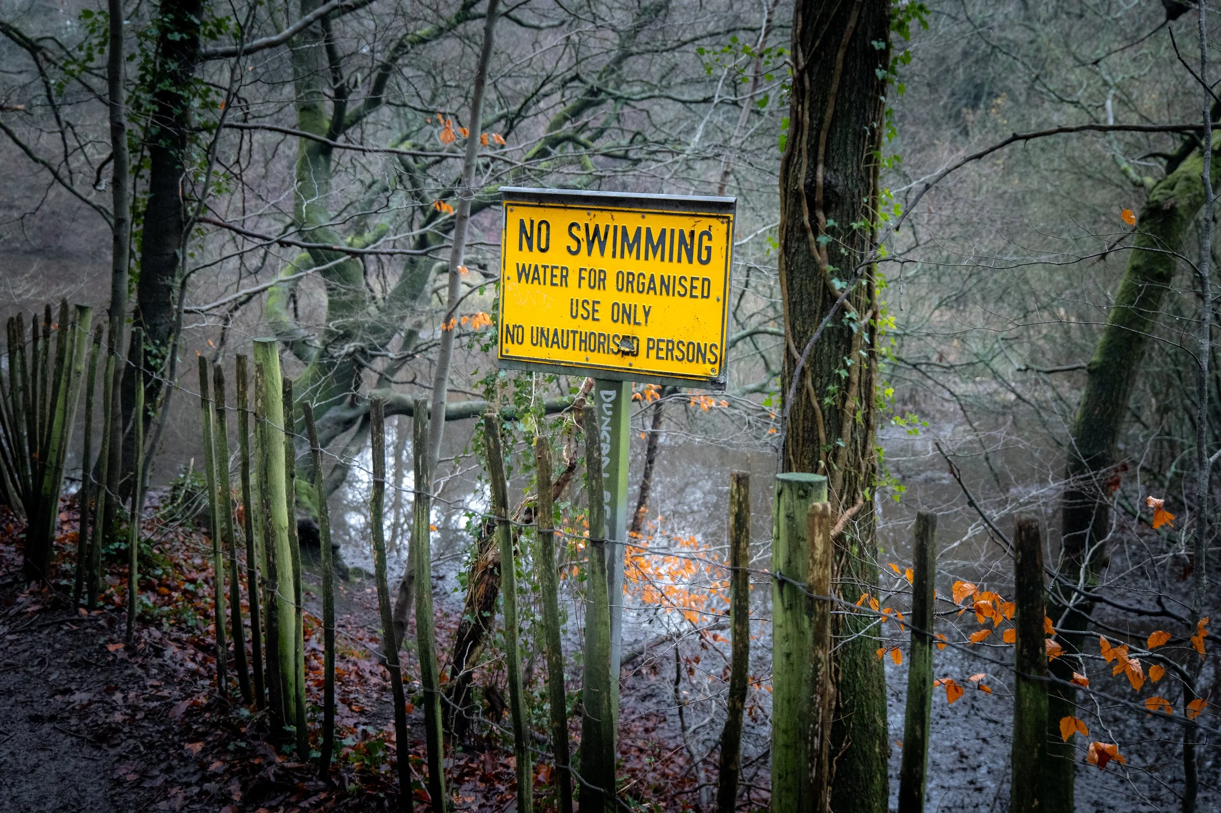 No swimming in the infected swamp. Whirlow, Sheffield, South Yorkshire.