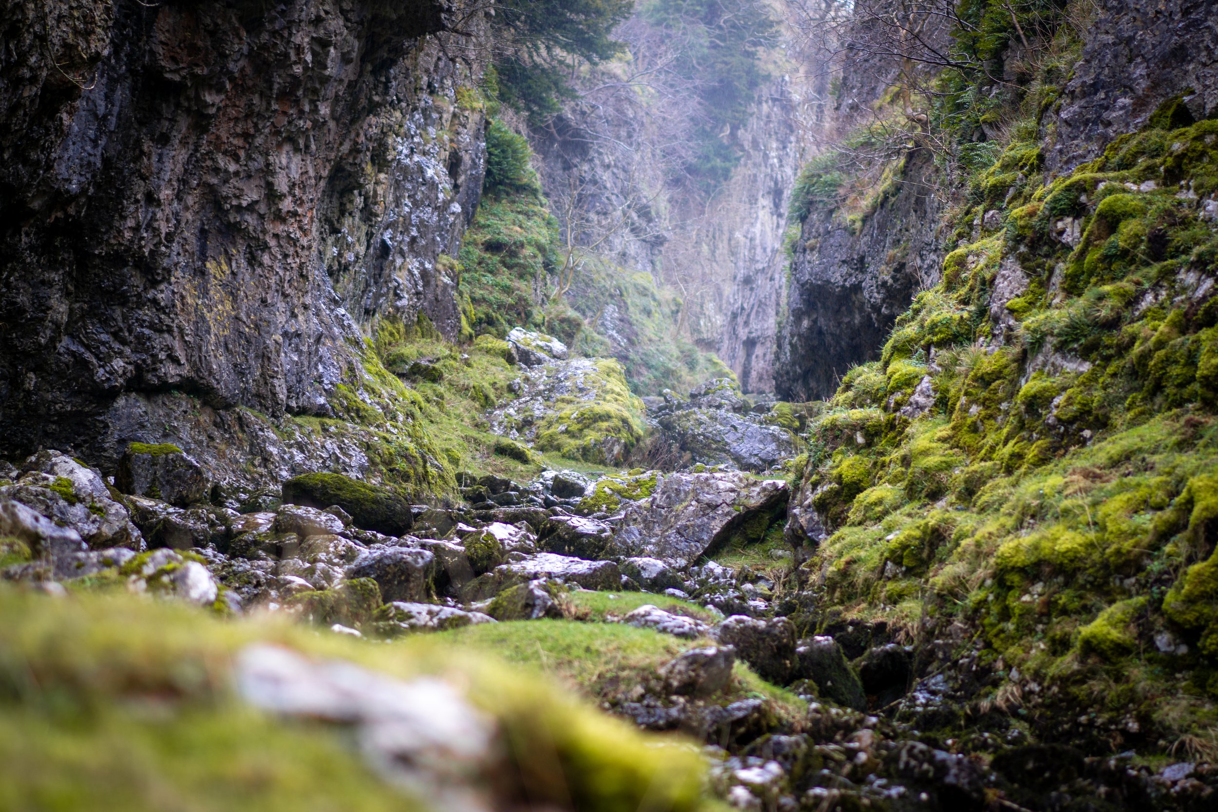 Troller's Gill, haunt of gnomes, boggarts, sprites, goblins, imps, pixies, and demon dog barghest. Appletreewick, North Yorkshire.