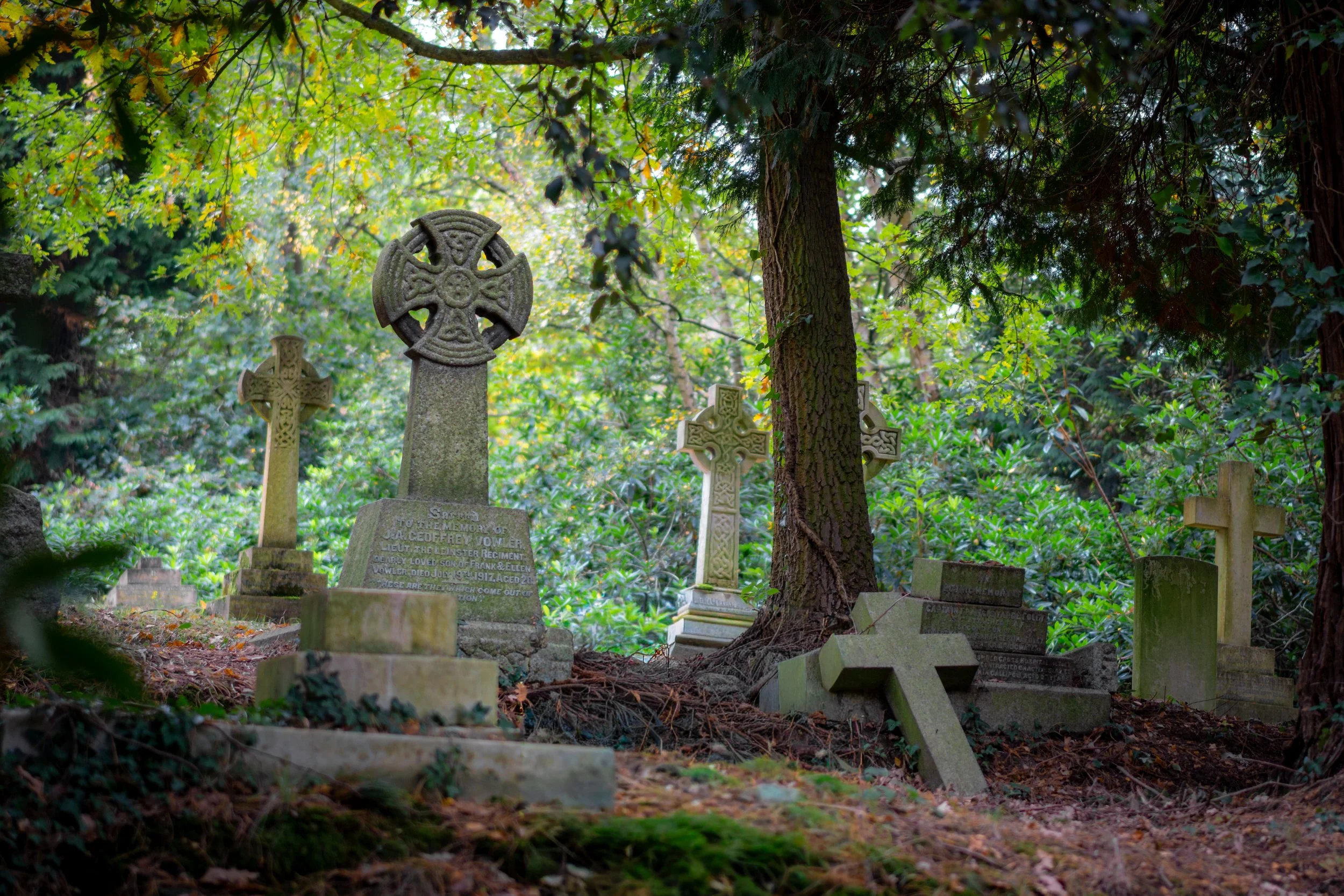 Churches and graveyards