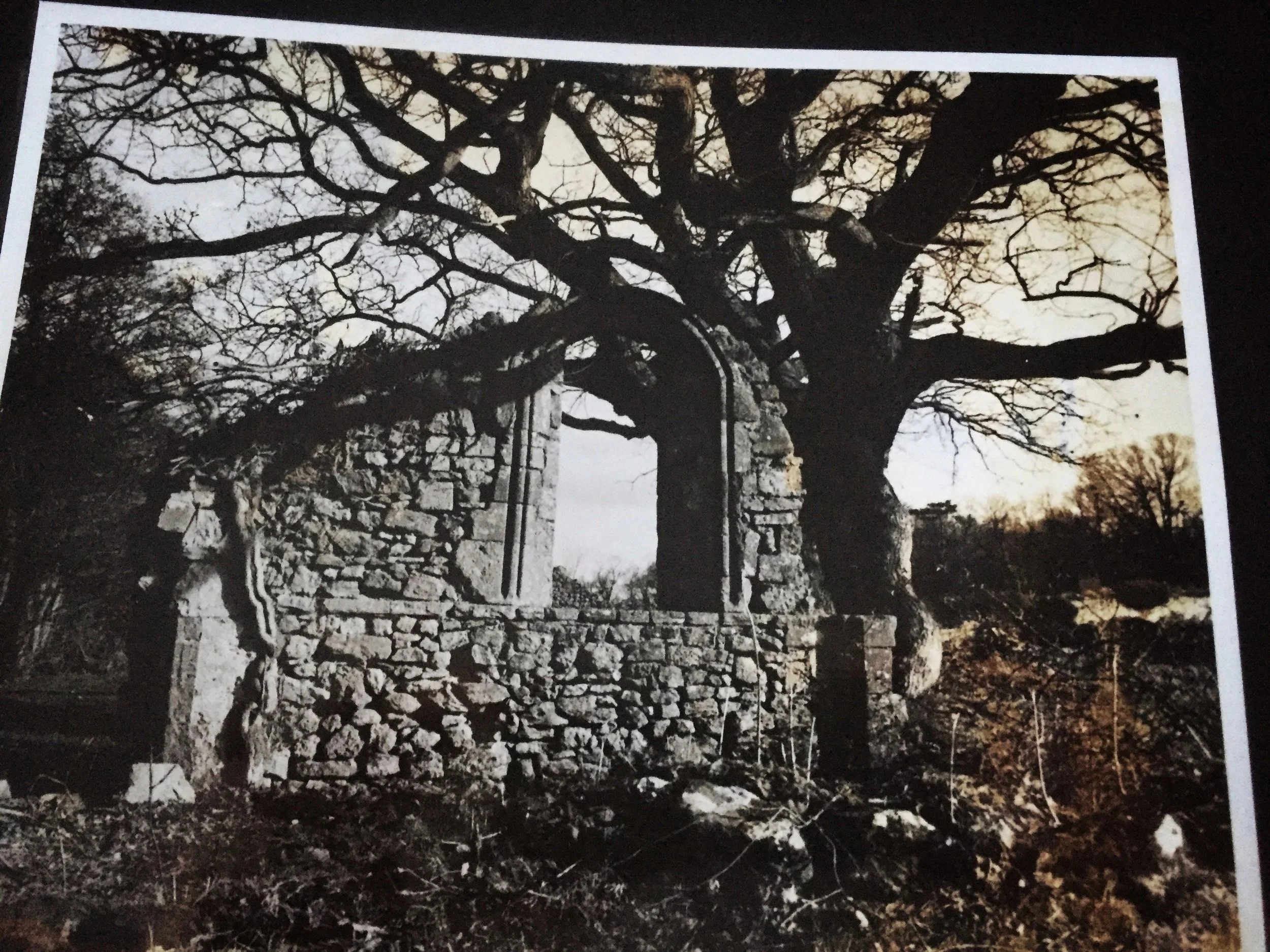 A moody print photograph made for a GCSE art project. Quarr Abbey, Ryde, Isle of Wight.