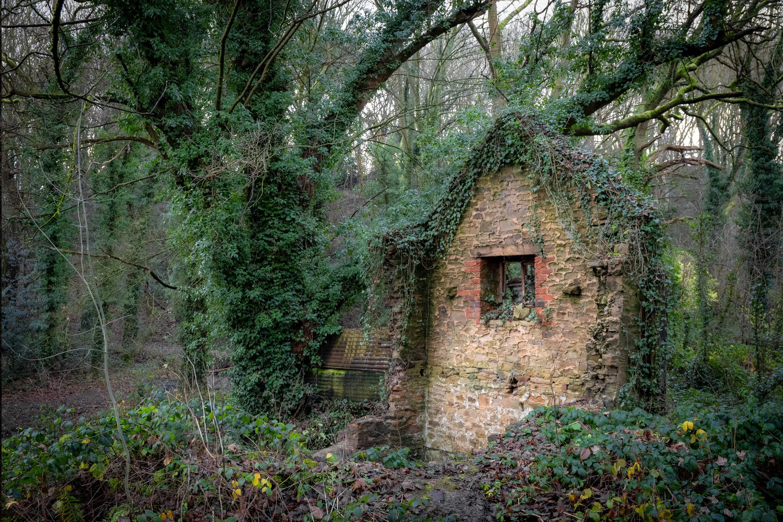 Fanhouse, Plumbley Colliery, Eckington, Derbyshire.