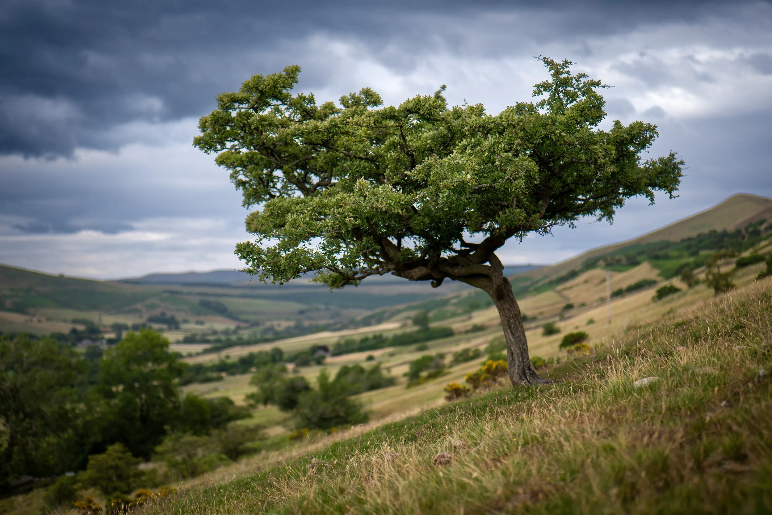 Mam Tor, Derbyshire.