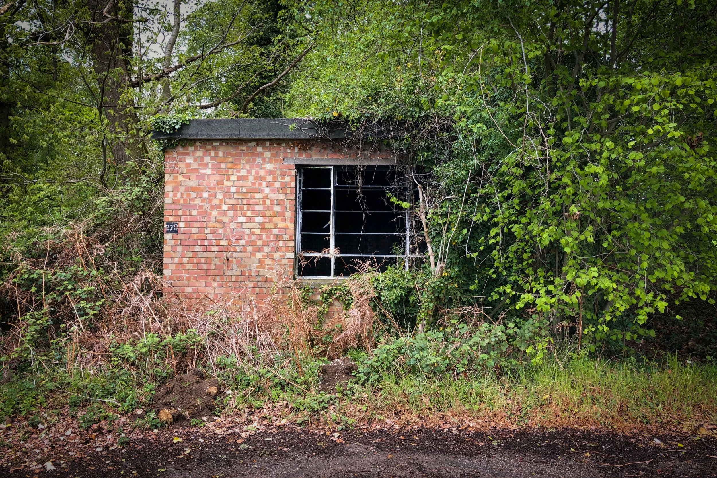 Thompson, Norfolk.