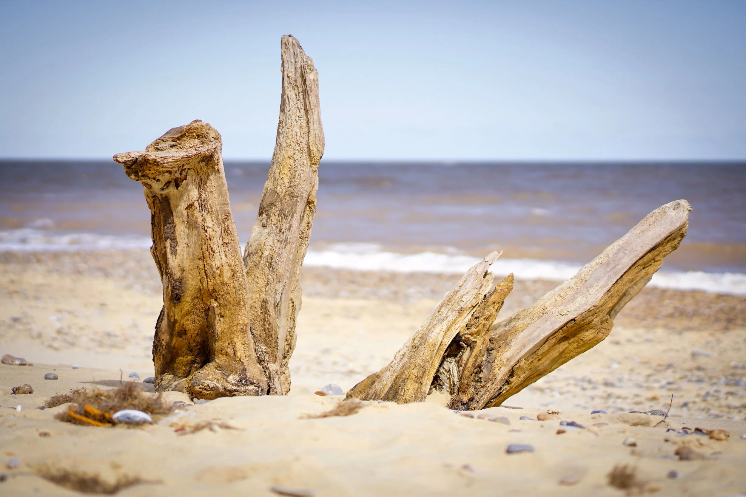 Covehithe, Suffolk.