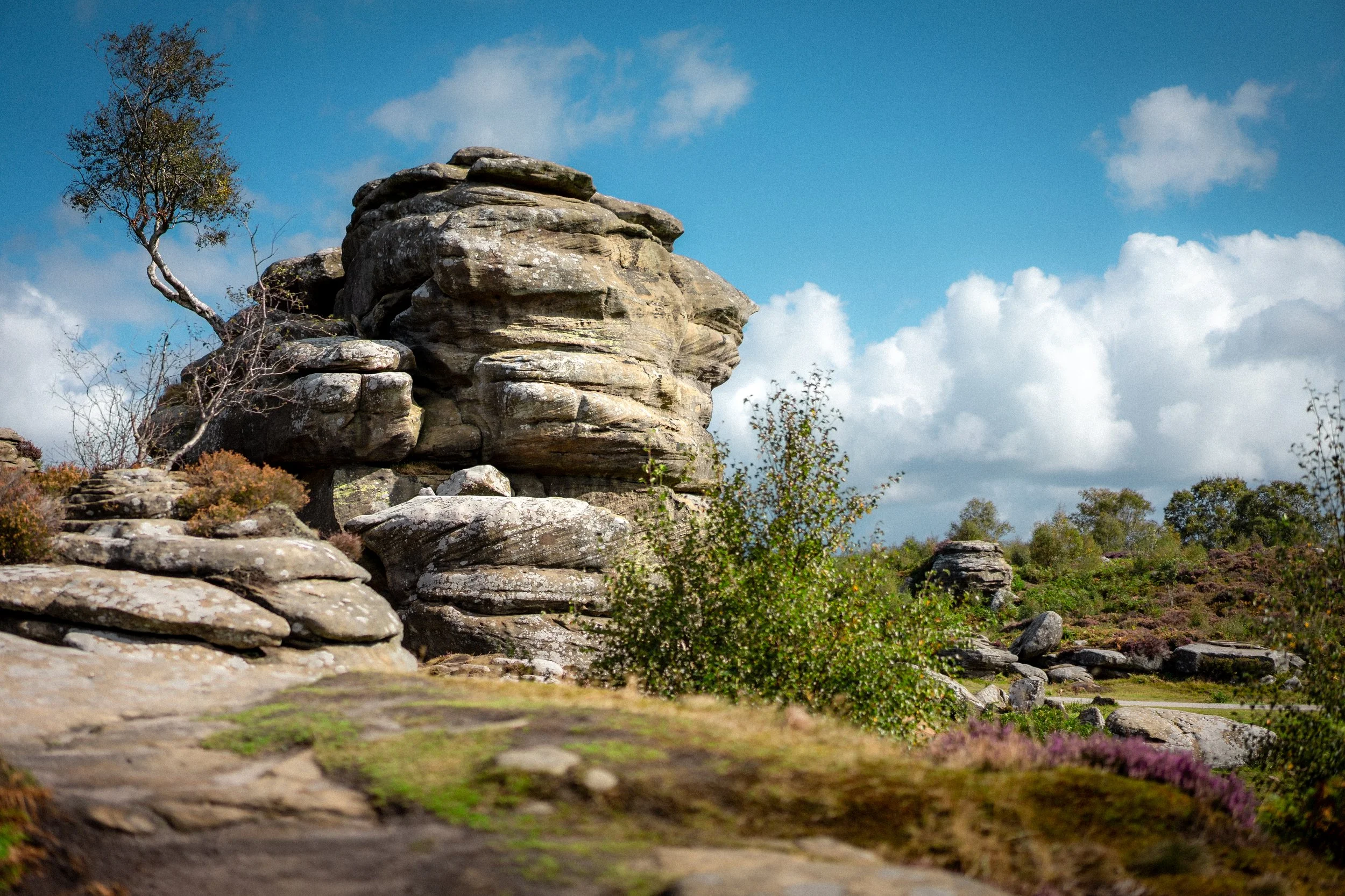Brimham Rocks, a strange collection of natural rock formations long associated with druids, boggarts, and fairies. Summerbridge, North Yorkshire.