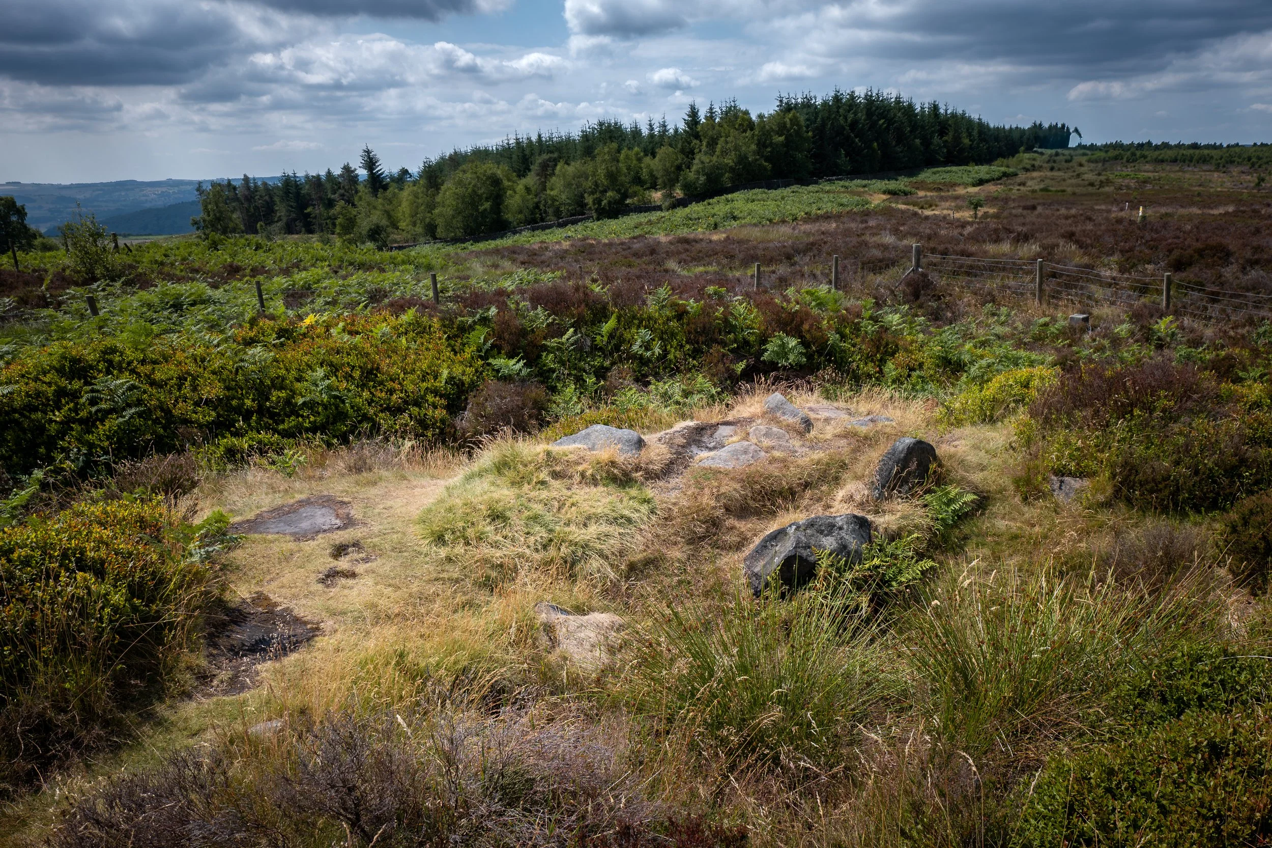 Hob Hurst's House, a Bronze Age burial mound now named for – and home to – a malevolent local goblin. Beeley Moor, Derbyshire.