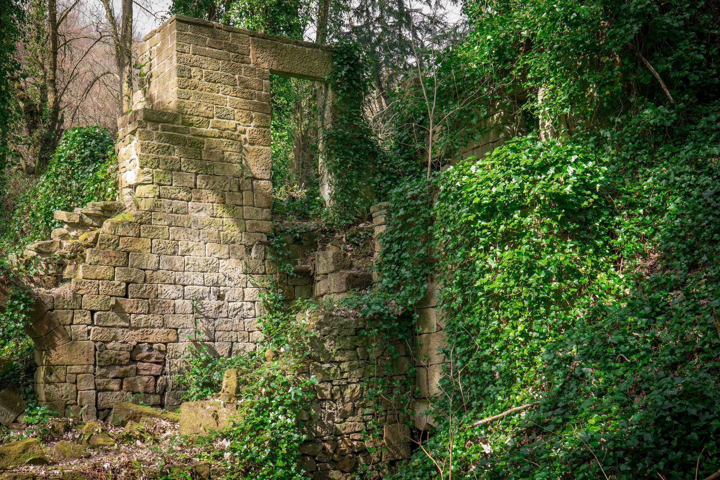 Lumsdale Mills, haunt of ghost millers, water nymphs, and a witch called Lumsa. Matlock, Derbyshire.