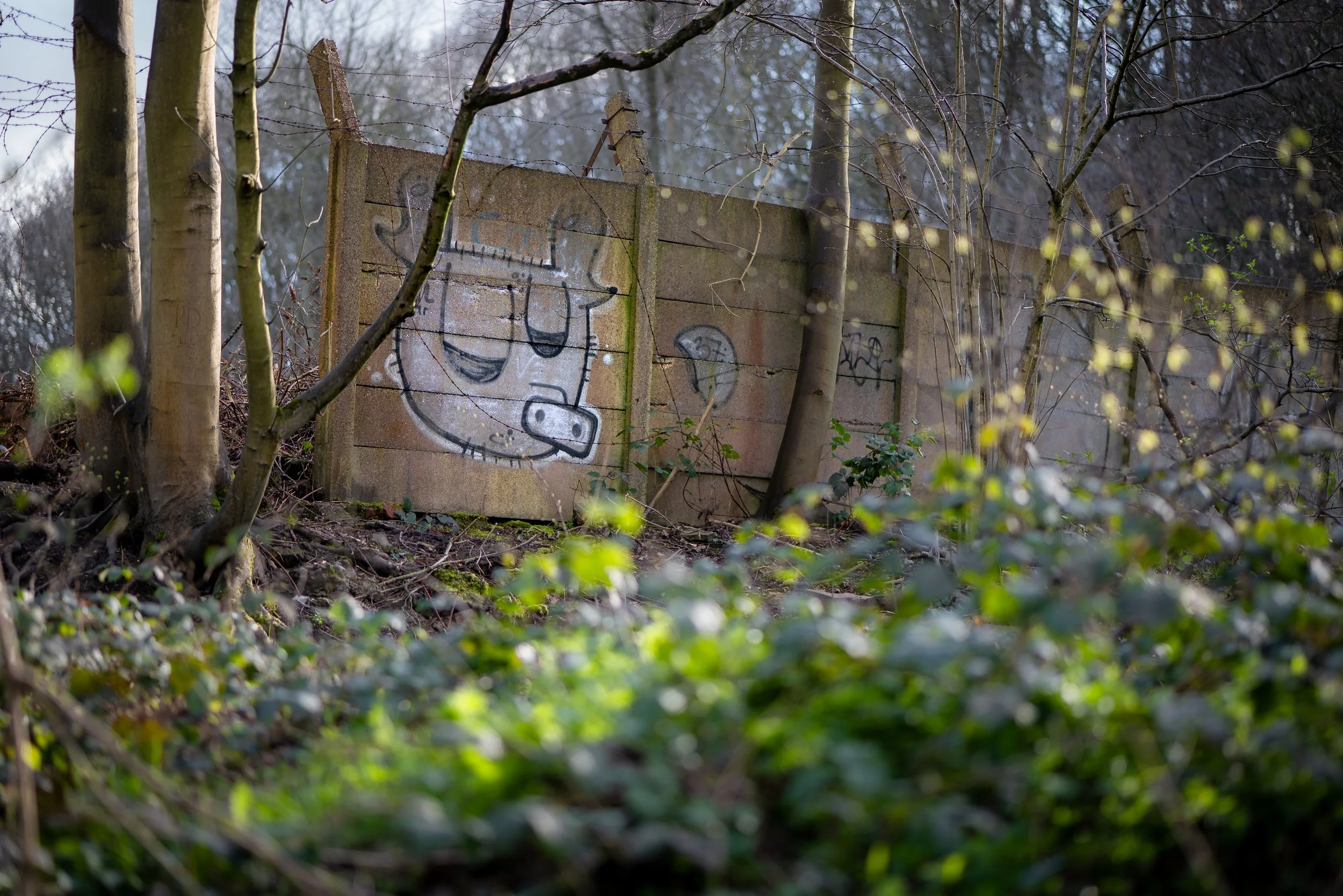 Shiregreen, Sheffield, South Yorkshire.