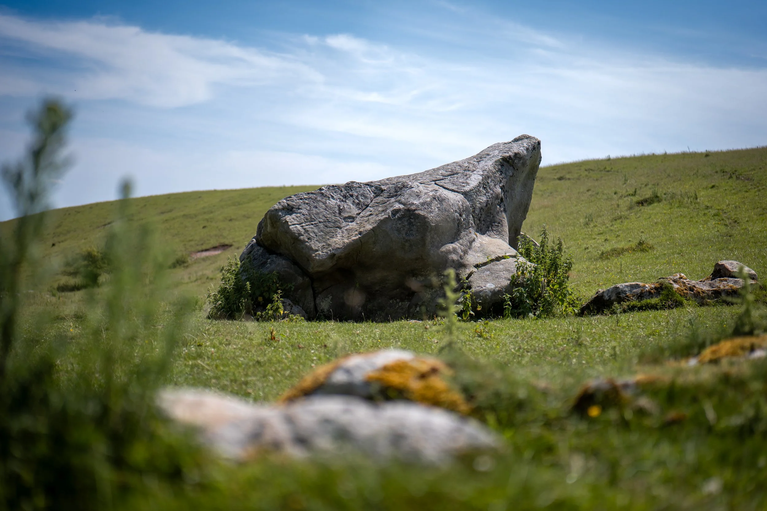 Toad stone. Fyfield Down, Avebury, Wiltshire.