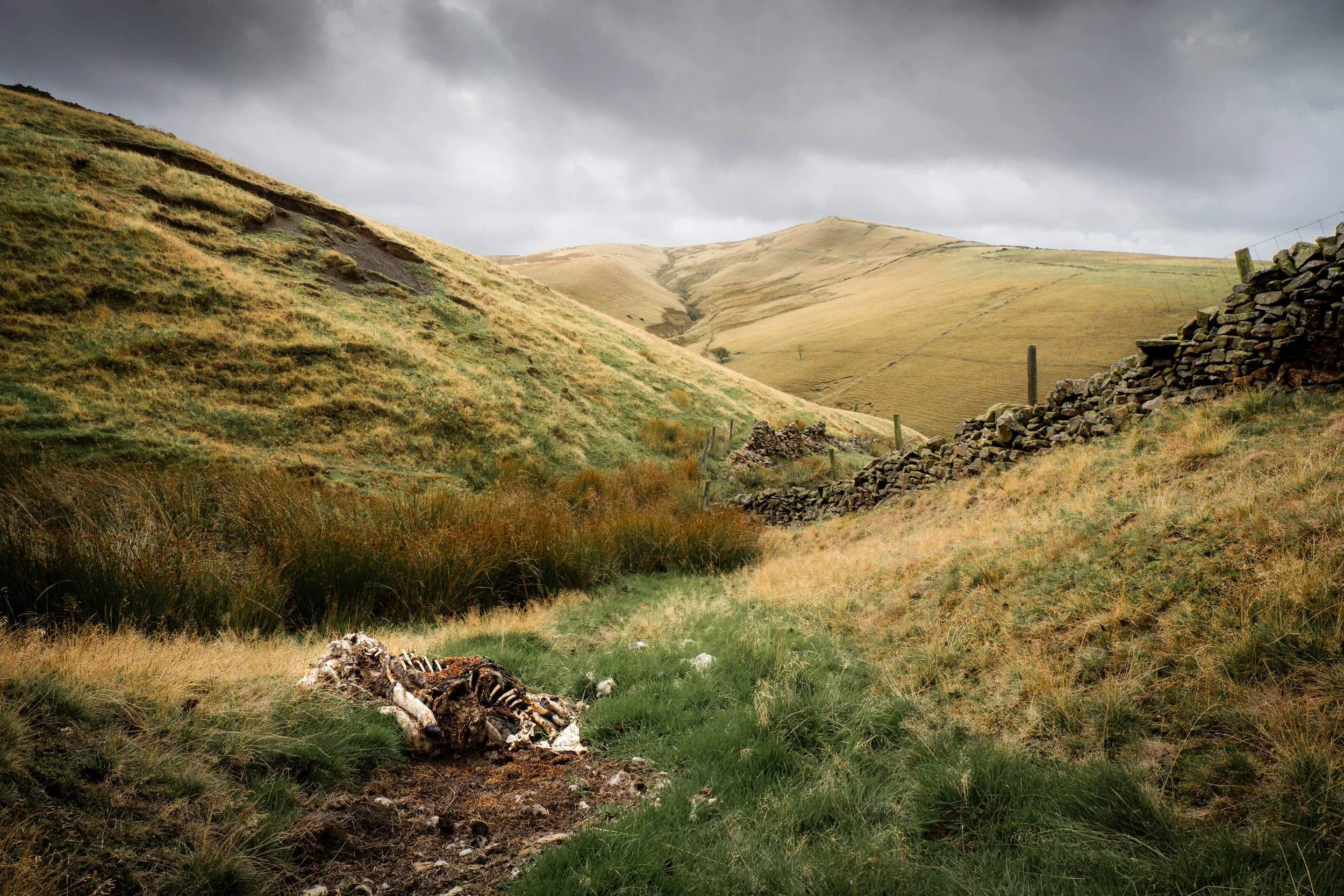 The remote and forbidding valley of Thursbitch, whose name derives from the old English þyrs (meaning demon or giant) and bæce (meaning valley). Cheshire.